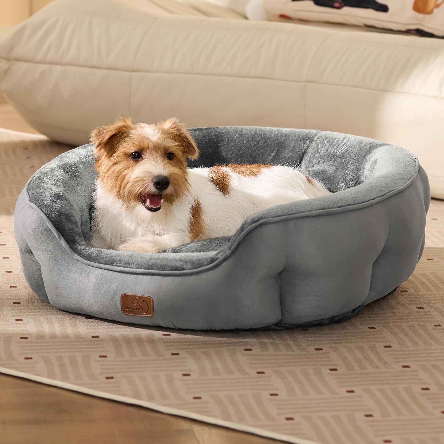 image:imageBedsure AeroFrost Cooling Small Dog Bed Round Washable 20In Arctic Blue QMaxgt04 Cat Beds for Indoor Cats Comfort Cooling Summer Pet BedAntiSlip Bottomfor Puppies and KittensGrey