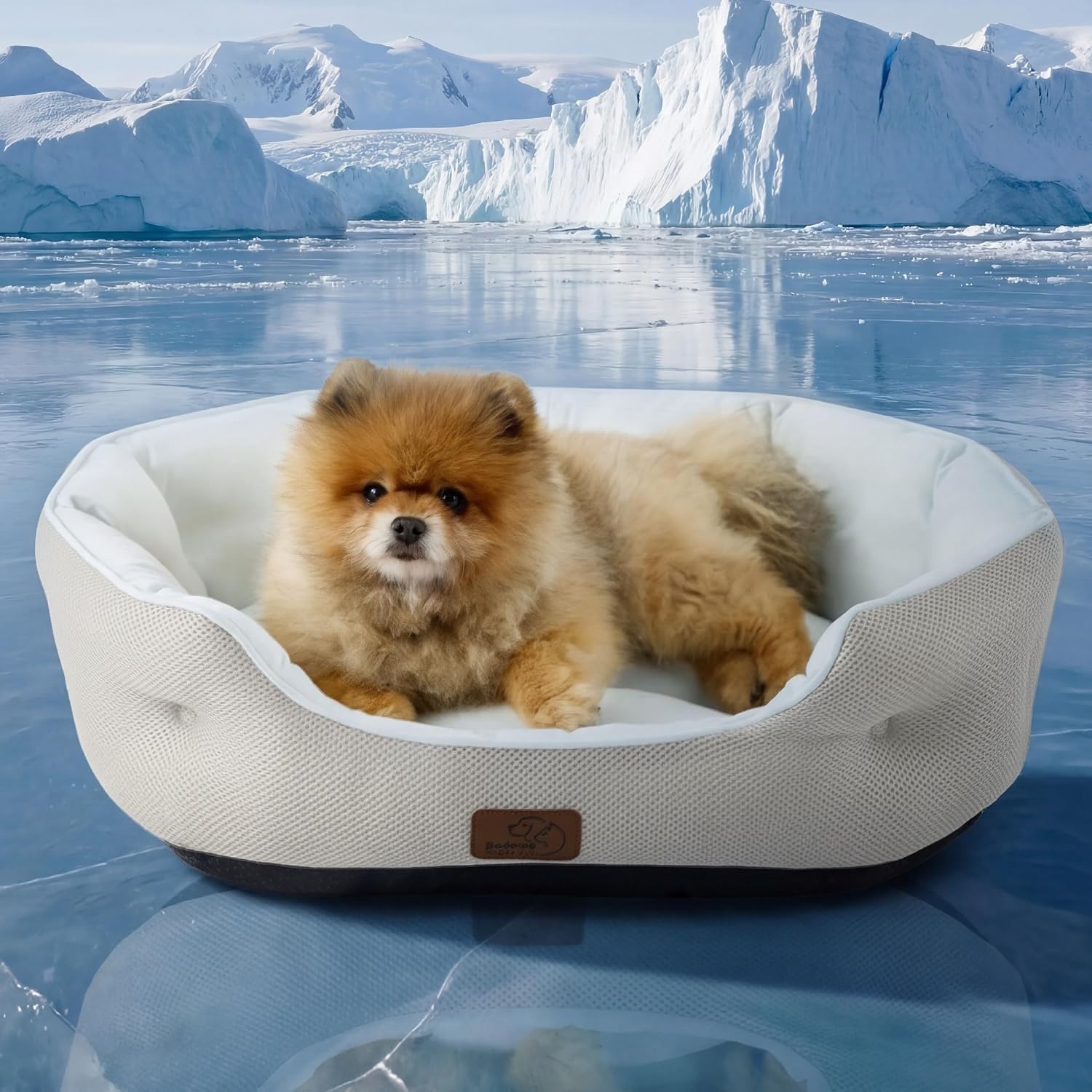 image:imageBedsure AeroFrost Cooling Small Dog Bed Round Washable 20In Arctic Blue QMaxgt04 Cat Beds for Indoor Cats Comfort Cooling Summer Pet BedAntiSlip Bottomfor Puppies and KittensArctic Cooling Blue