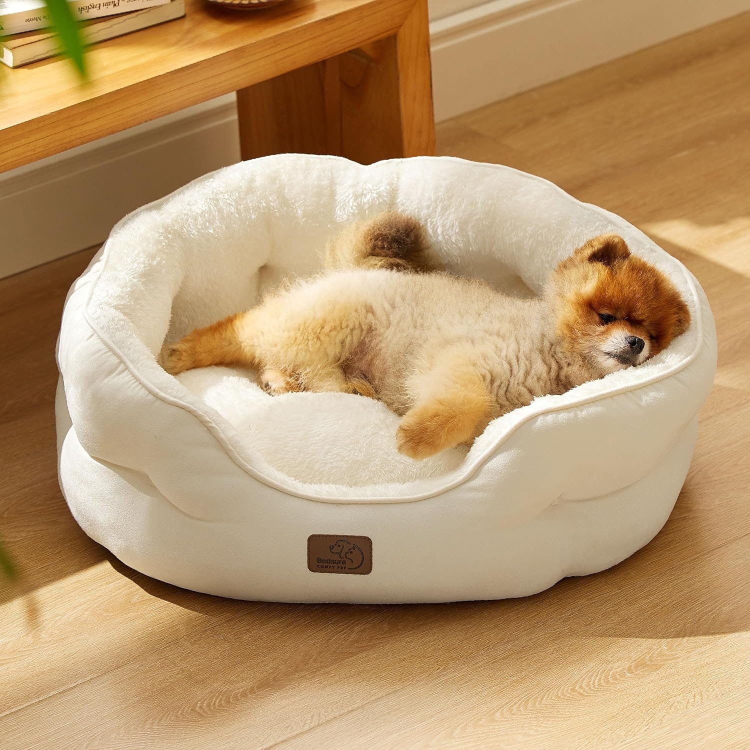 image:imageBedsure AeroFrost Cooling Small Dog Bed Round Washable 20In Arctic Blue QMaxgt04 Cat Beds for Indoor Cats Comfort Cooling Summer Pet BedAntiSlip Bottomfor Puppies and KittensIvory