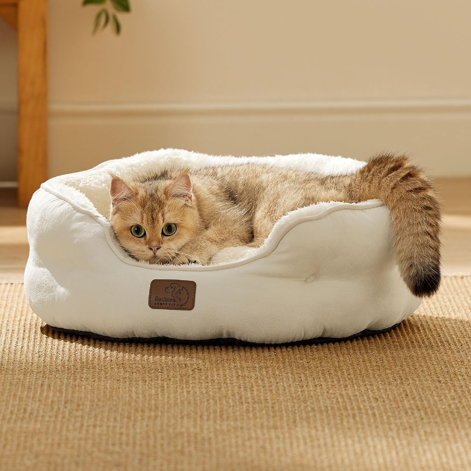 image:imageBedsure AeroFrost Cooling Small Dog Bed Round Washable 20In Arctic Blue QMaxgt04 Cat Beds for Indoor Cats Comfort Cooling Summer Pet BedAntiSlip Bottomfor Puppies and KittensIvory