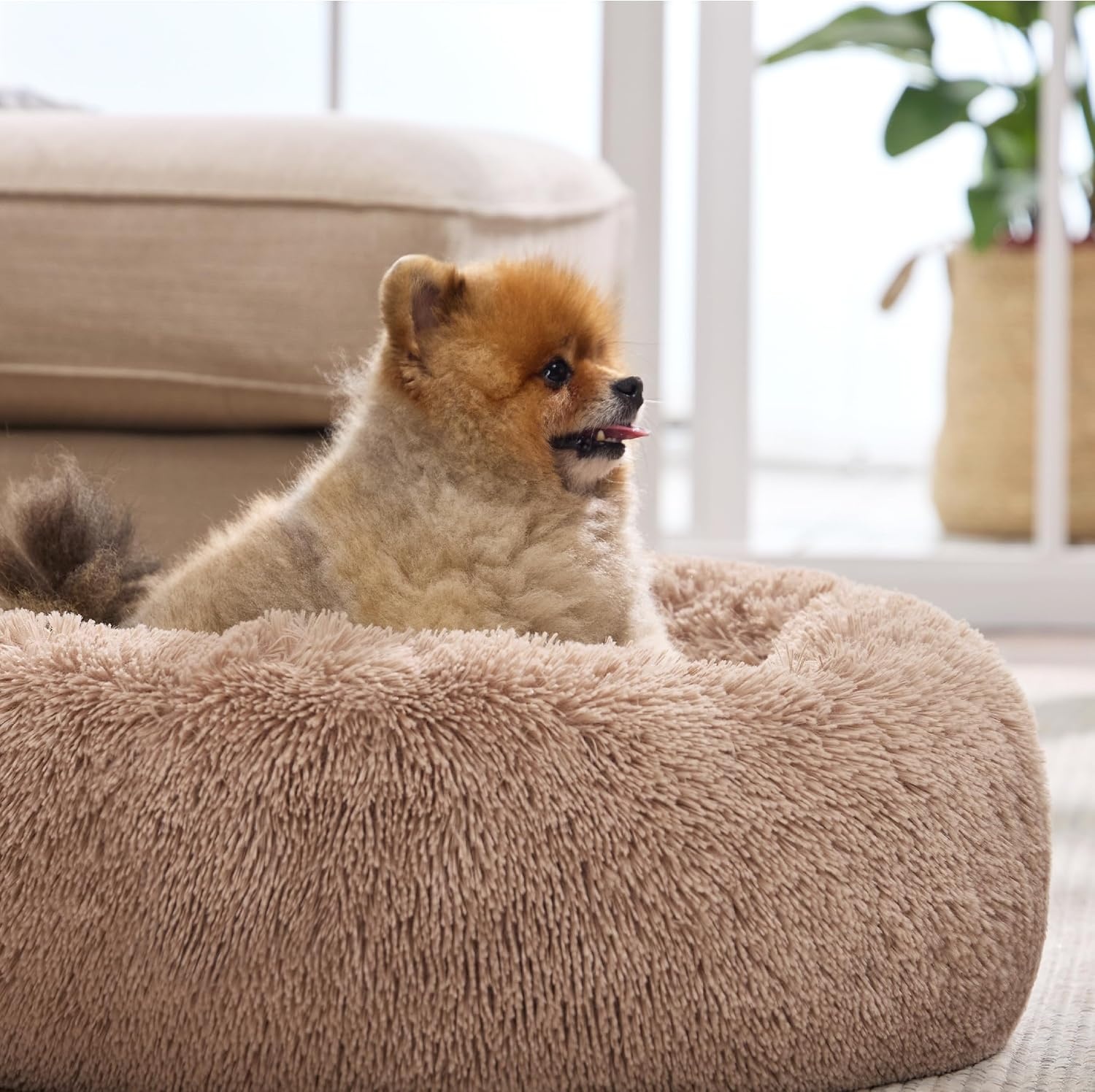 image:imageBedsure Human Dog Bed for Adult Plush Giant Calming Nest Bed Orthopedic 71 Human Size Dog Bed Washable with Storage Pocket Supportive Bolster Egg Foam NonSlip Bottom Fluffy Faux Fur BrownCamel