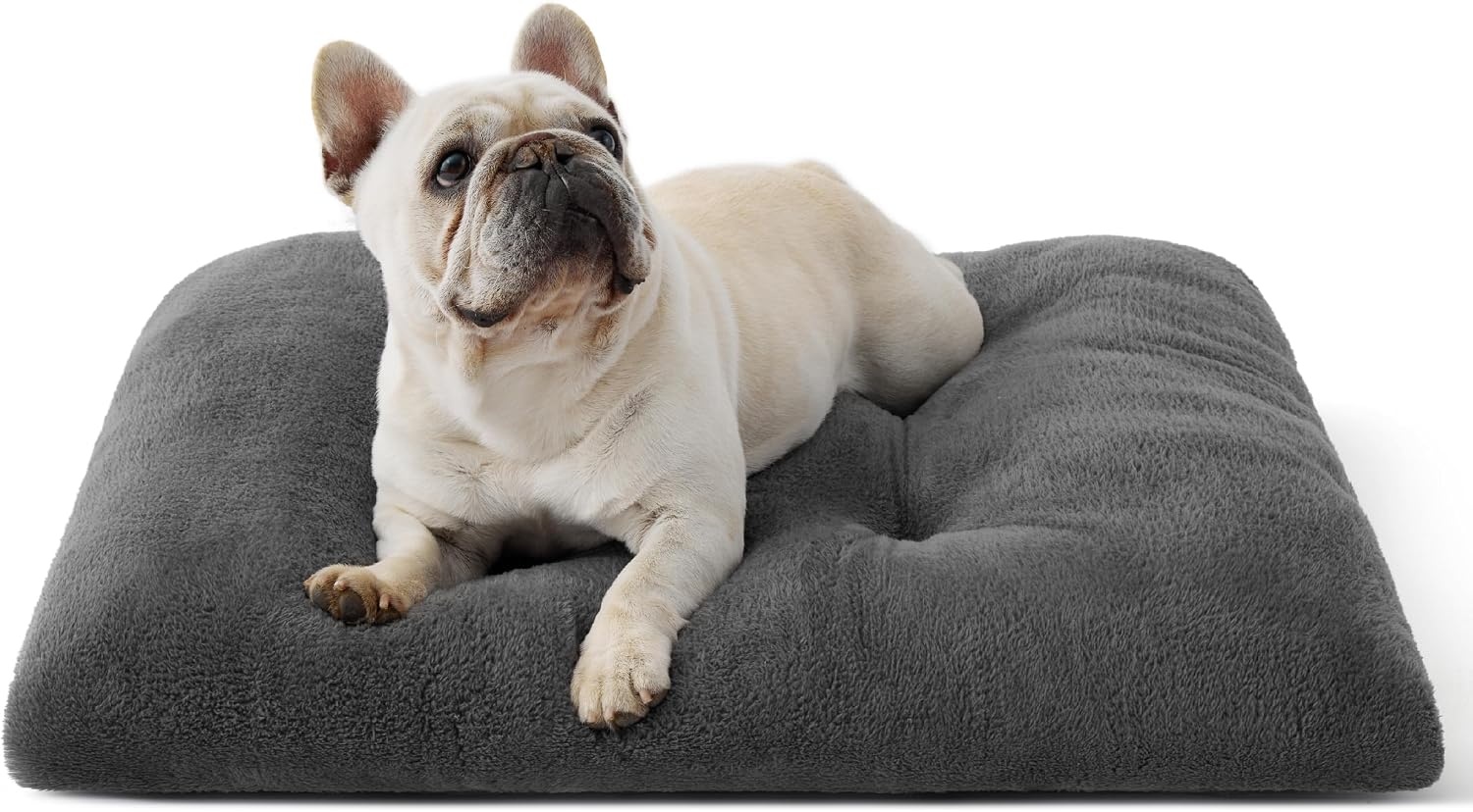 image:imageBedsure Washable XL Dog Bed for Crate Comfort Fluffy Pet Pillow 41x27 Plush Kennel Pad Ultra Soft PP Cotton NonSlip Bottom Machine Washable Pet Sleeping Mat Dark GrayDark Gray