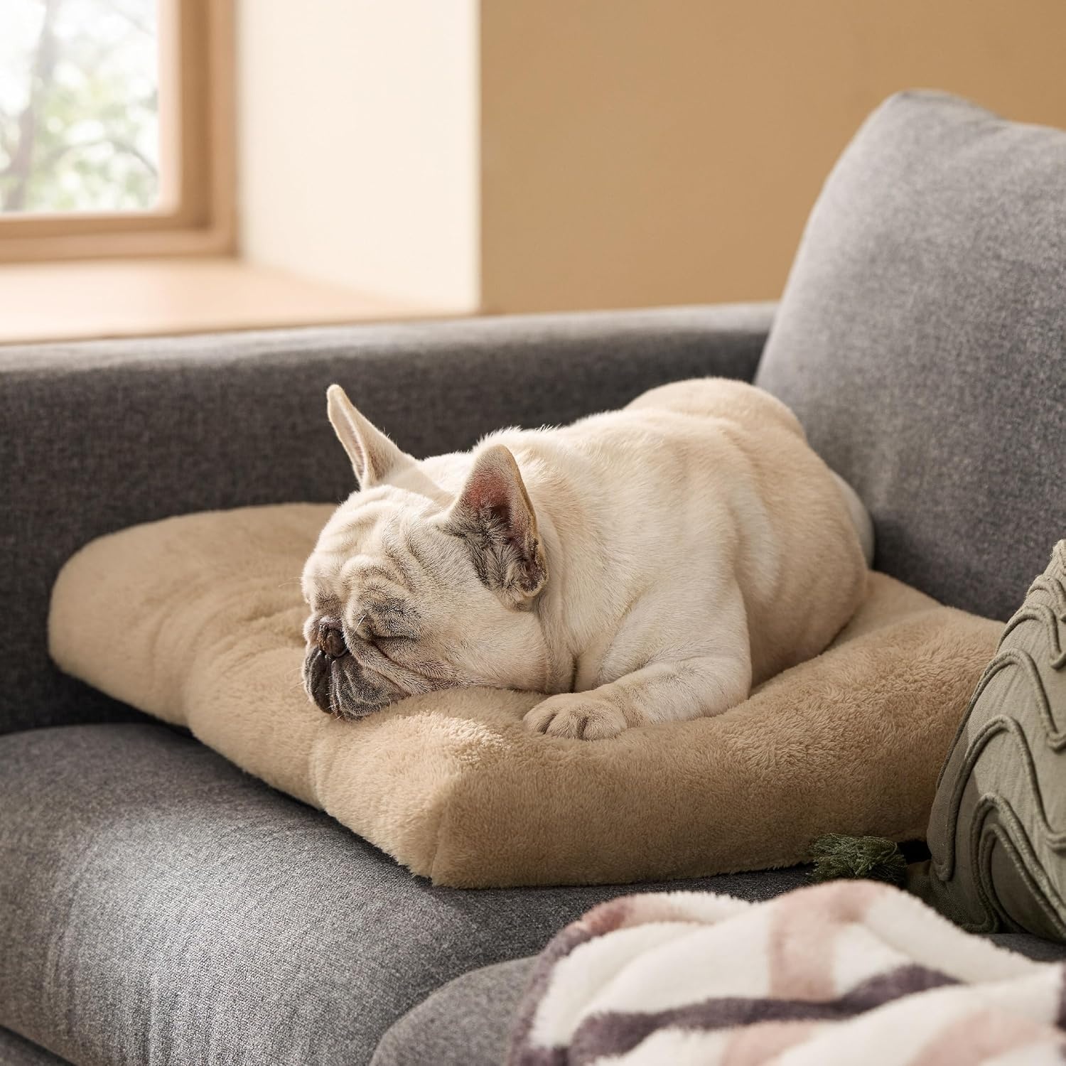 image:imageBedsure Washable XL Dog Bed for Crate Comfort Fluffy Pet Pillow 41x27 Plush Kennel Pad Ultra Soft PP Cotton NonSlip Bottom Machine Washable Pet Sleeping Mat Dark GrayBrown