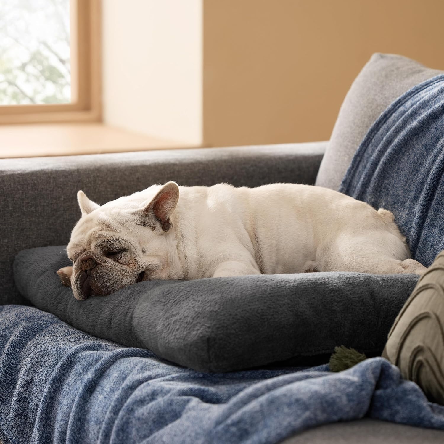 image:imageBedsure Washable XL Dog Bed for Crate Comfort Fluffy Pet Pillow 41x27 Plush Kennel Pad Ultra Soft PP Cotton NonSlip Bottom Machine Washable Pet Sleeping Mat Dark GrayDark Gray