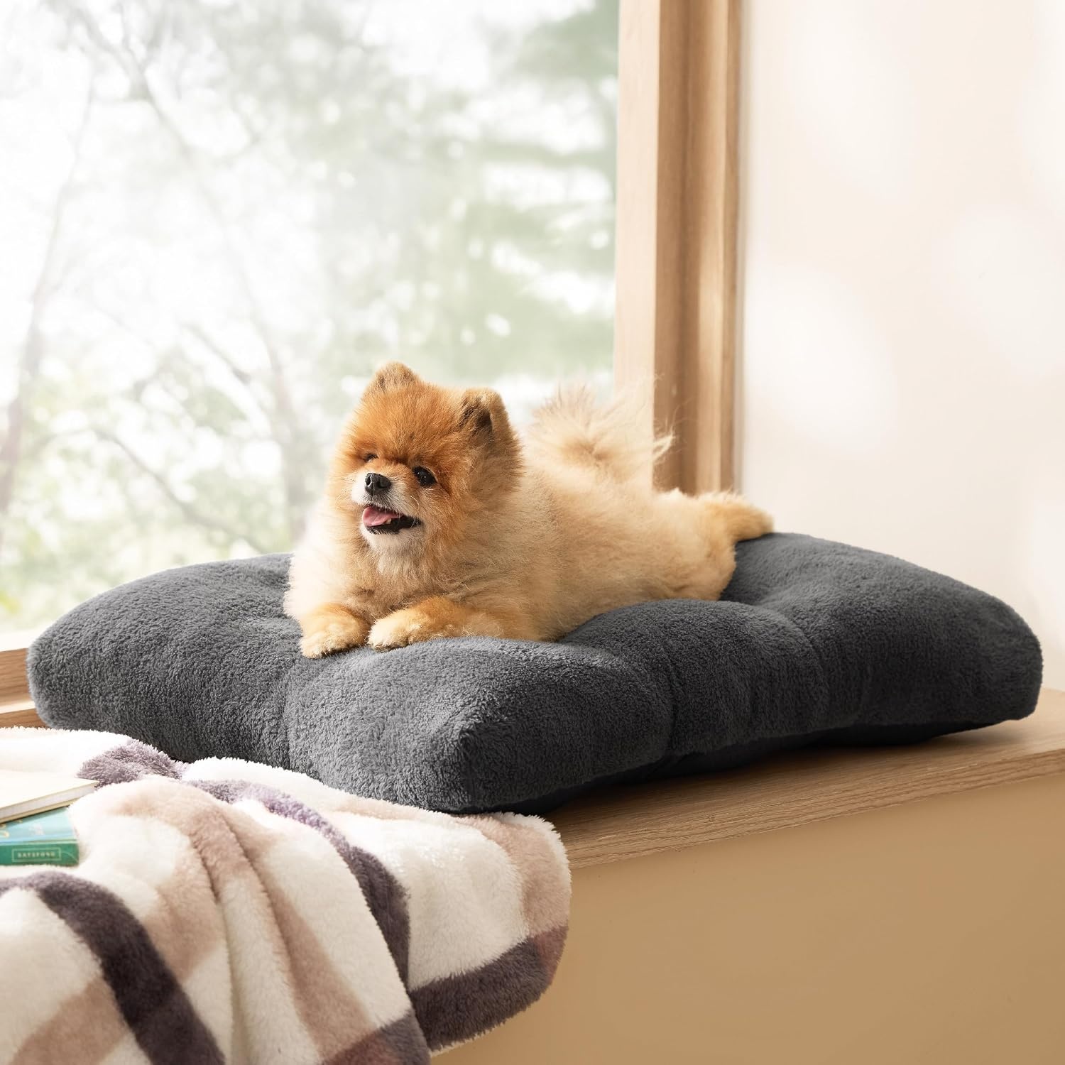 image:imageBedsure Washable XL Dog Bed for Crate Comfort Fluffy Pet Pillow 41x27 Plush Kennel Pad Ultra Soft PP Cotton NonSlip Bottom Machine Washable Pet Sleeping Mat Dark GrayDark Gray