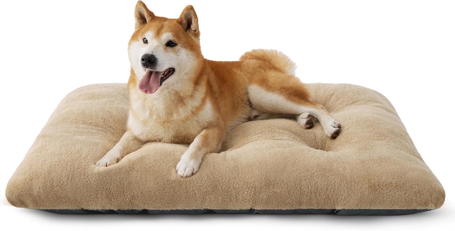 image:imageBedsure Washable XL Dog Bed for Crate Comfort Fluffy Pet Pillow 41x27 Plush Kennel Pad Ultra Soft PP Cotton NonSlip Bottom Machine Washable Pet Sleeping Mat Dark GrayBrown