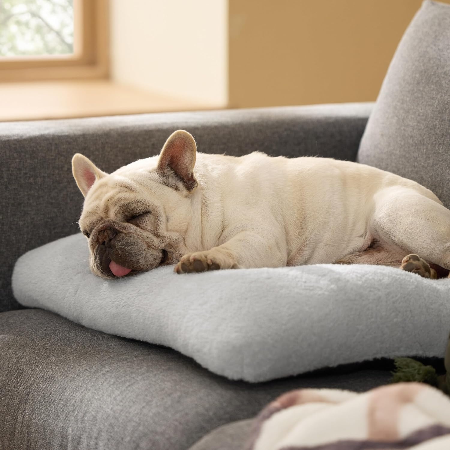 image:imageBedsure Washable XL Dog Bed for Crate Comfort Fluffy Pet Pillow 41x27 Plush Kennel Pad Ultra Soft PP Cotton NonSlip Bottom Machine Washable Pet Sleeping Mat Dark GrayGray