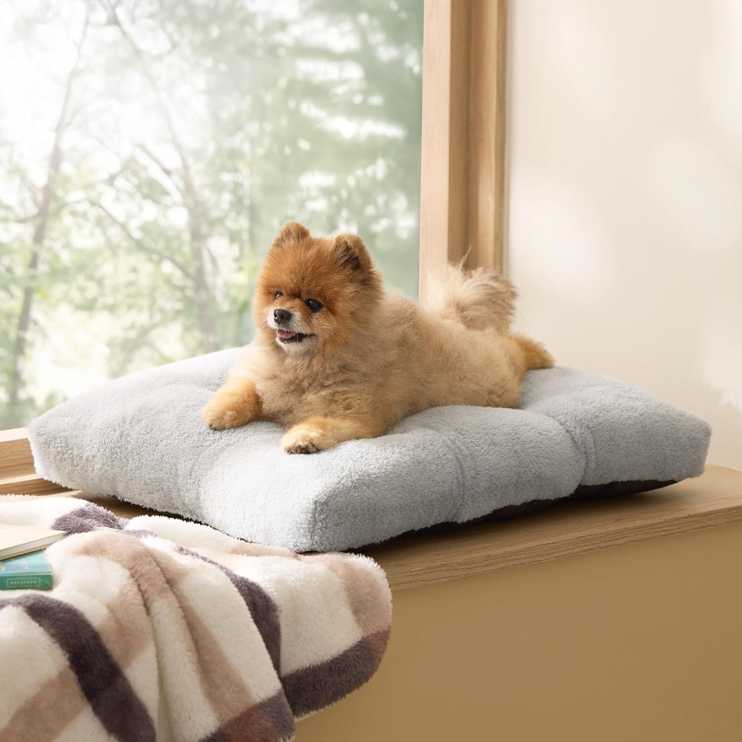image:imageBedsure Washable XL Dog Bed for Crate Comfort Fluffy Pet Pillow 41x27 Plush Kennel Pad Ultra Soft PP Cotton NonSlip Bottom Machine Washable Pet Sleeping Mat Dark GrayGray