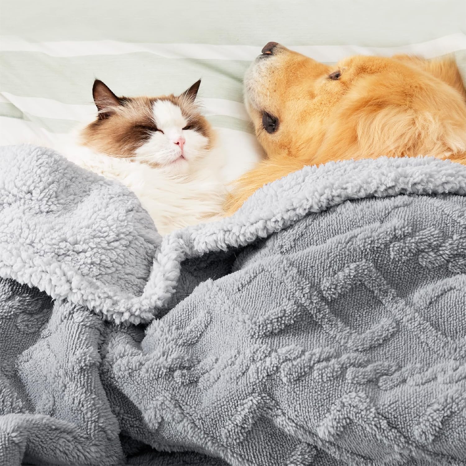 image:imageBedsure Waterproof Dog Blankets for Bed Pet Blanket for Bed Couch Protector Washable Jacquard Coral Fleece Cat Throw Blanket Soft Plush Reversible Furniture Protection Queen 86x90 Pale OakGrey