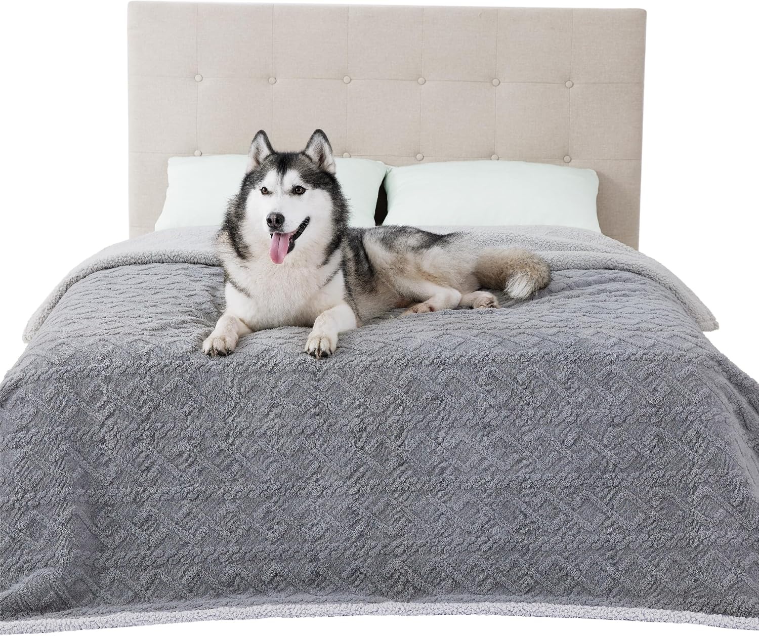 image:imageBedsure Waterproof Dog Blankets for Bed Pet Blanket for Bed Couch Protector Washable Jacquard Coral Fleece Cat Throw Blanket Soft Plush Reversible Furniture Protection Queen 86x90 Pale OakGrey