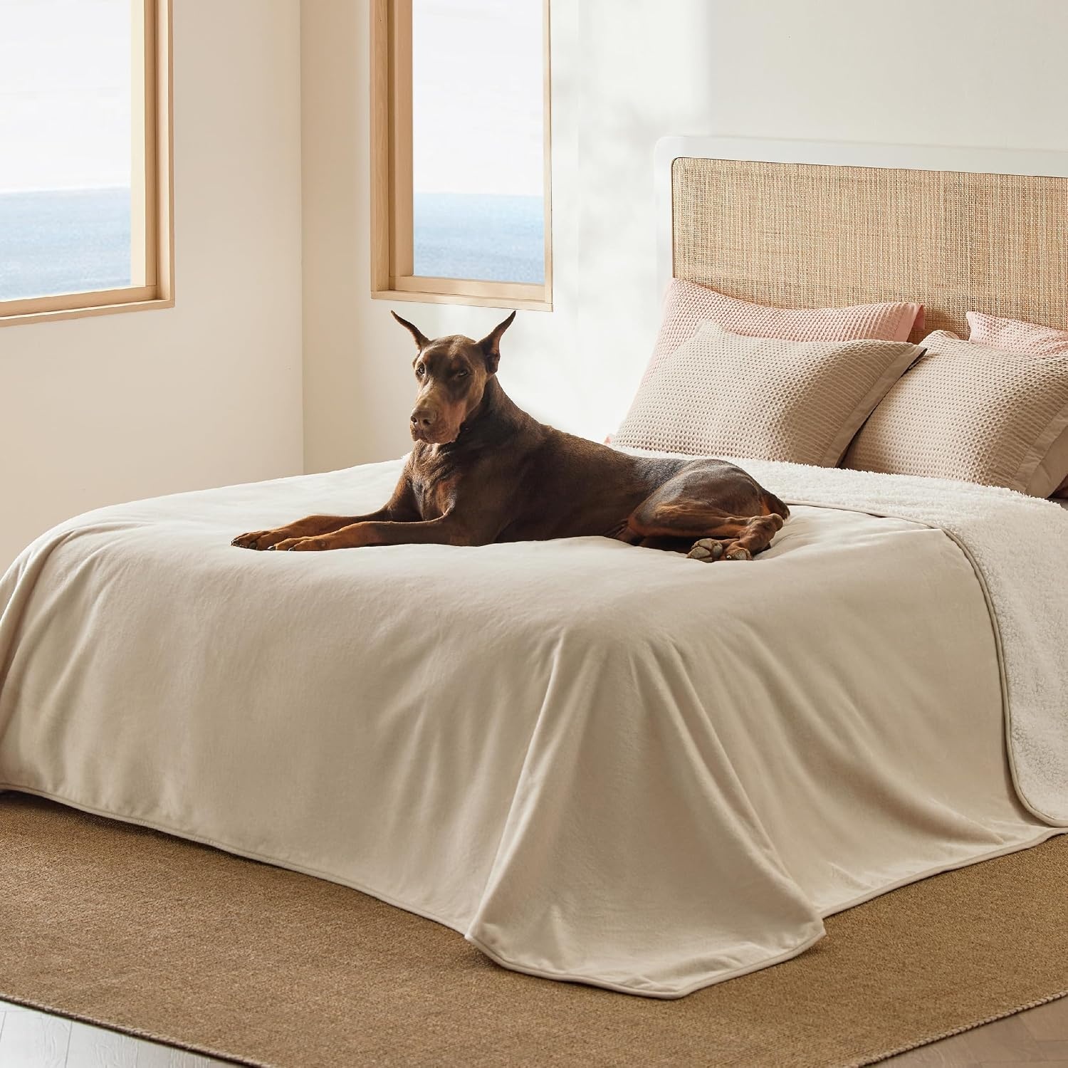image:imageBedsure Waterproof Dog Blankets for Large Dogs Sherpa Fleece Throw 40X50 Washable Soft Plush Pet Cat Blanket for Couch Cover Reversible Cozy Calming Furniture Protector Warm for Senior DogsGreyCream