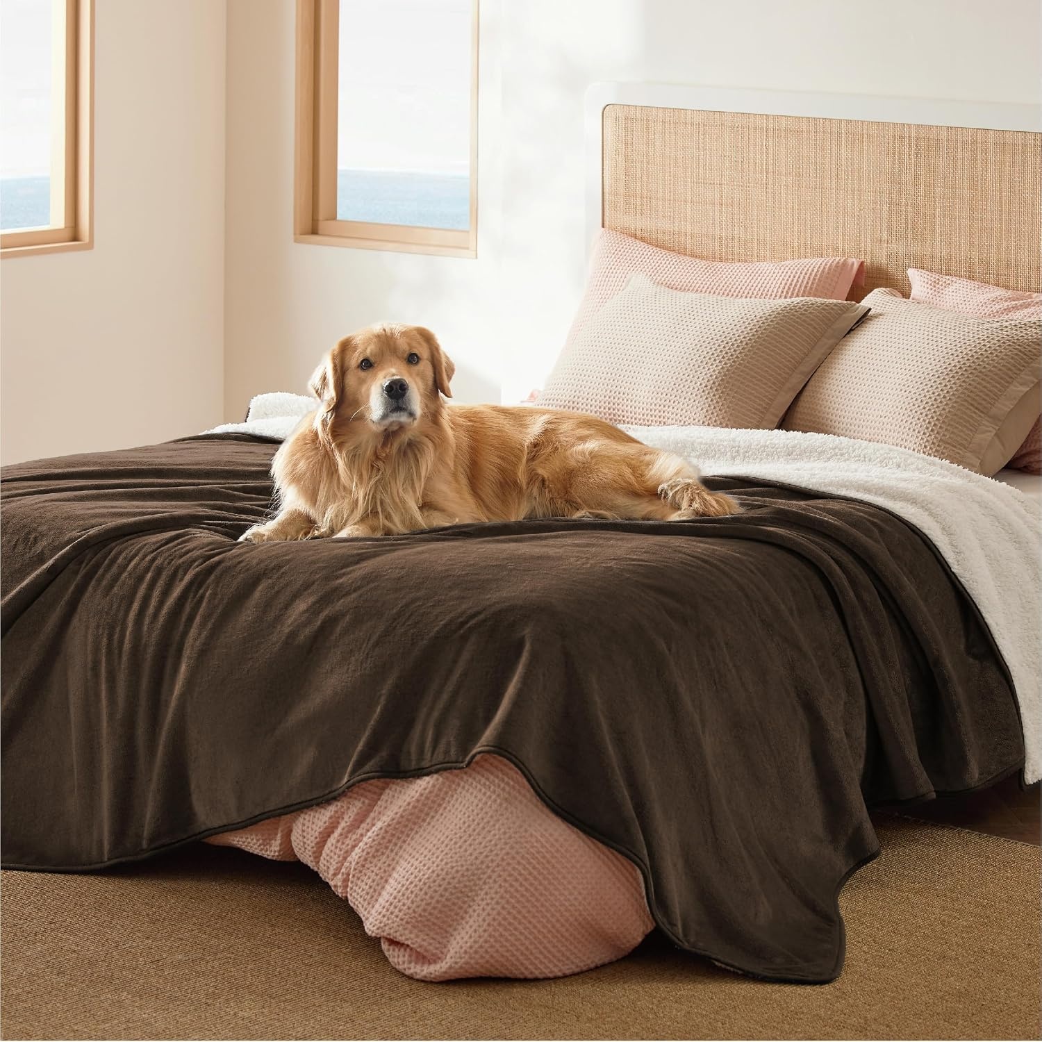 image:imageBedsure Waterproof Dog Blankets for Large Dogs Sherpa Fleece Throw 40X50 Washable Soft Plush Pet Cat Blanket for Couch Cover Reversible Cozy Calming Furniture Protector Warm for Senior DogsGreyCoffee Brown