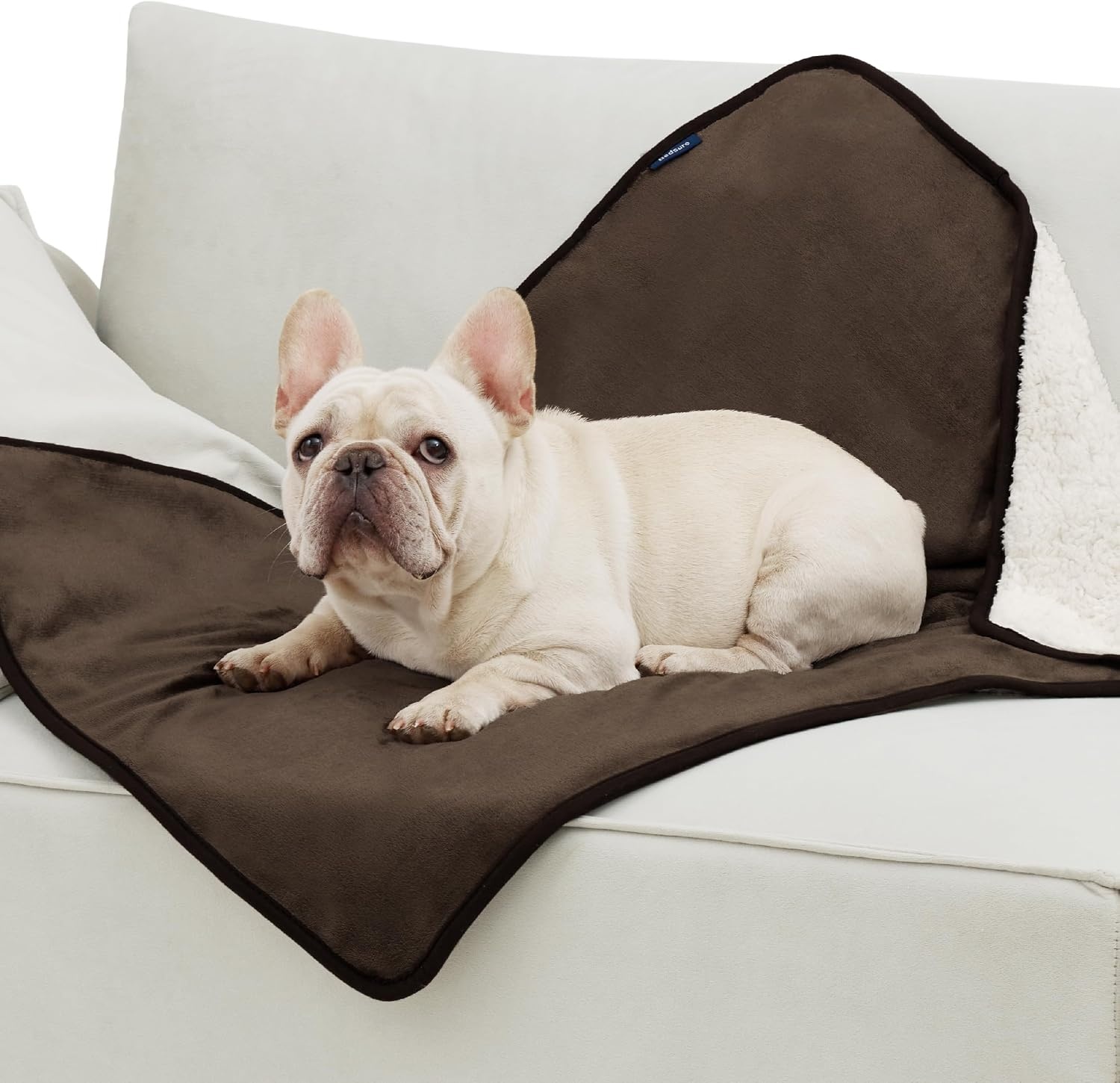 image:imageBedsure Waterproof Dog Blankets for Large Dogs Sherpa Fleece Throw 40X50 Washable Soft Plush Pet Cat Blanket for Couch Cover Reversible Cozy Calming Furniture Protector Warm for Senior DogsGreyCoffee Brown