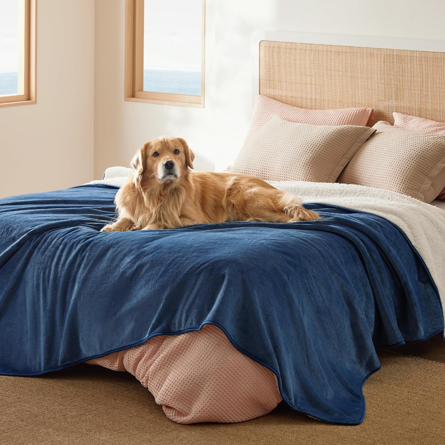 image:imageBedsure Waterproof Dog Blankets for Large Dogs Sherpa Fleece Throw 40X50 Washable Soft Plush Pet Cat Blanket for Couch Cover Reversible Cozy Calming Furniture Protector Warm for Senior DogsGreyBlue