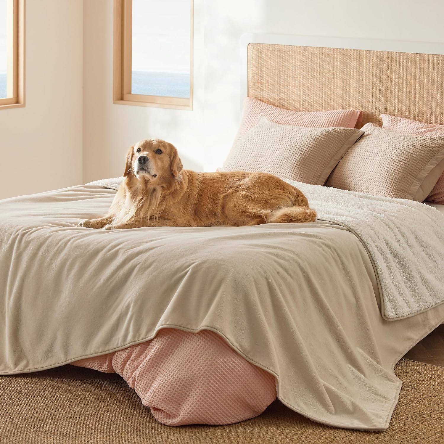image:imageBedsure Waterproof Dog Blankets for Large Dogs Sherpa Fleece Throw 40X50 Washable Soft Plush Pet Cat Blanket for Couch Cover Reversible Cozy Calming Furniture Protector Warm for Senior DogsGreyCream