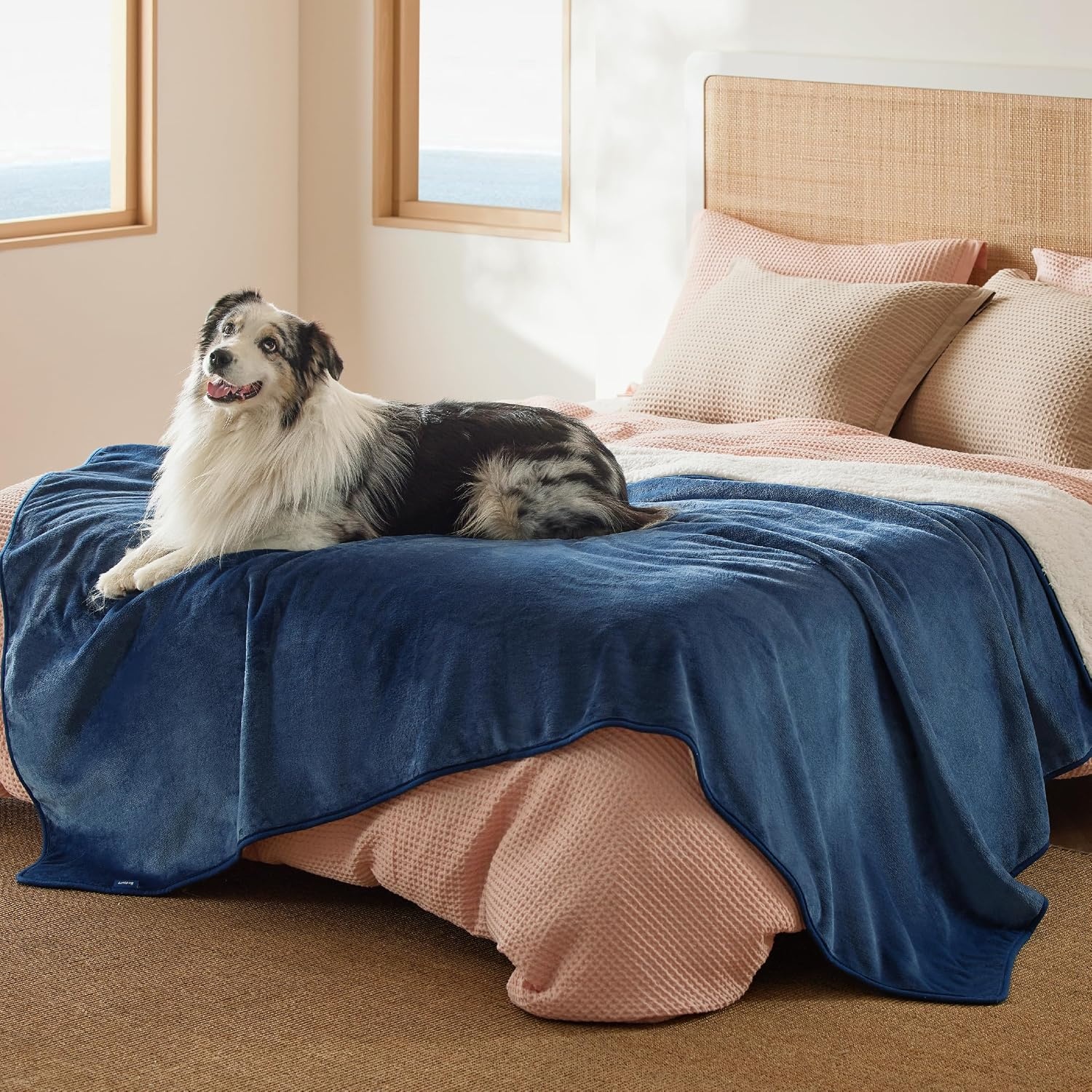 image:imageBedsure Waterproof Dog Blankets for Large Dogs Sherpa Fleece Throw 40X50 Washable Soft Plush Pet Cat Blanket for Couch Cover Reversible Cozy Calming Furniture Protector Warm for Senior DogsGreyBlue