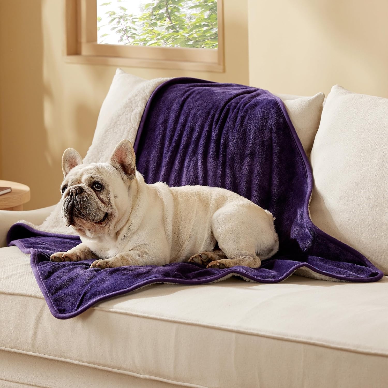 image:imageBedsure Waterproof Dog Blankets for Large Dogs Sherpa Fleece Throw 40X50 Washable Soft Plush Pet Cat Blanket for Couch Cover Reversible Cozy Calming Furniture Protector Warm for Senior DogsGreyEggplant