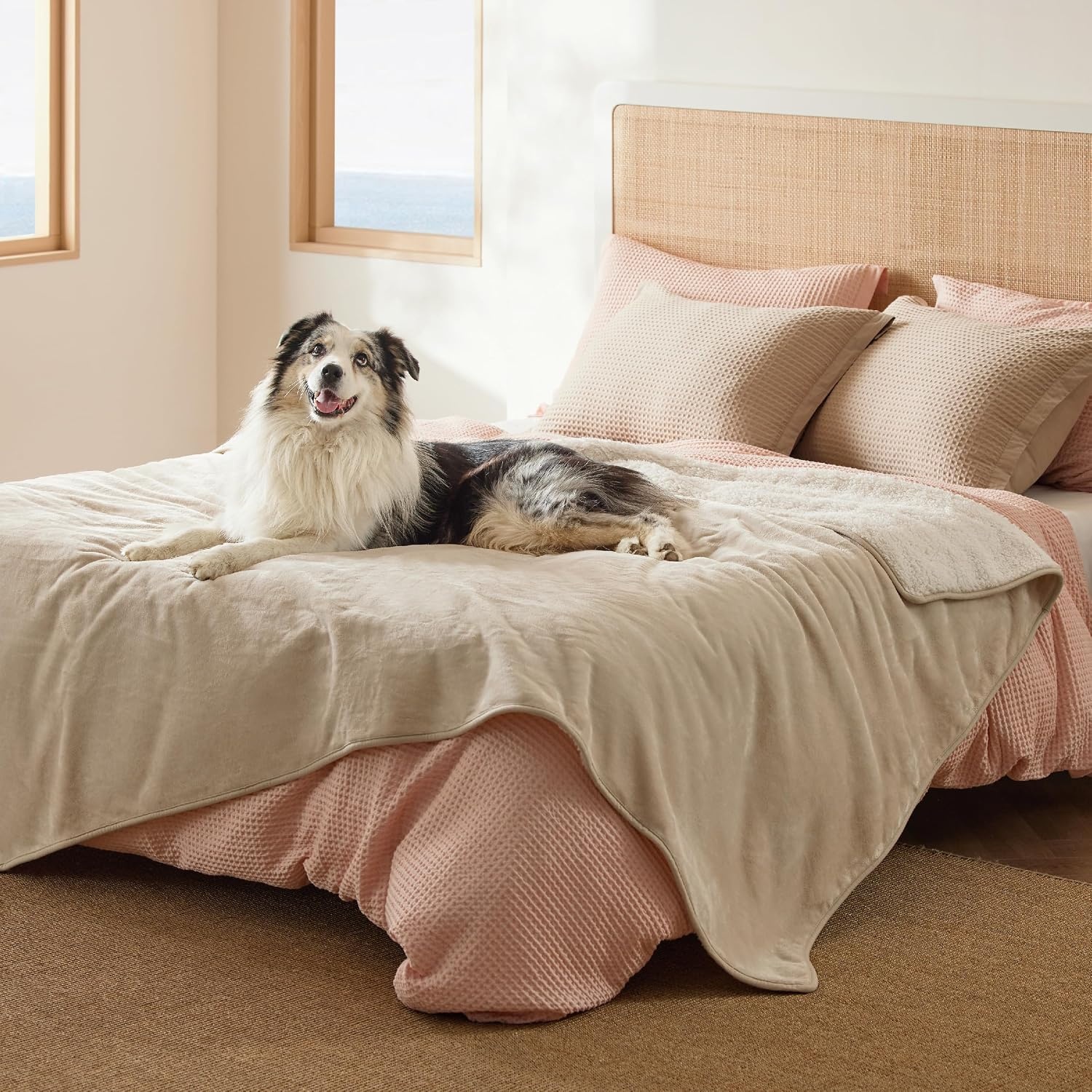 image:imageBedsure Waterproof Dog Blankets for Large Dogs Sherpa Fleece Throw 40X50 Washable Soft Plush Pet Cat Blanket for Couch Cover Reversible Cozy Calming Furniture Protector Warm for Senior DogsGreyCream