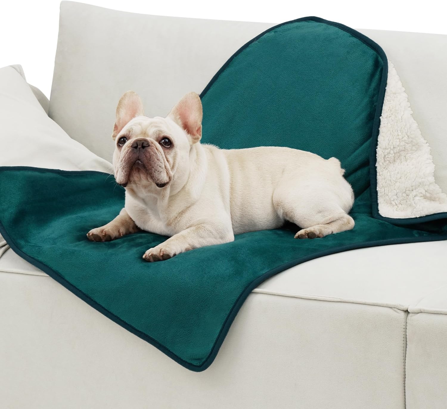 image:imageBedsure Waterproof Dog Blankets for Large Dogs Sherpa Fleece Throw 40X50 Washable Soft Plush Pet Cat Blanket for Couch Cover Reversible Cozy Calming Furniture Protector Warm for Senior DogsGreyGreen