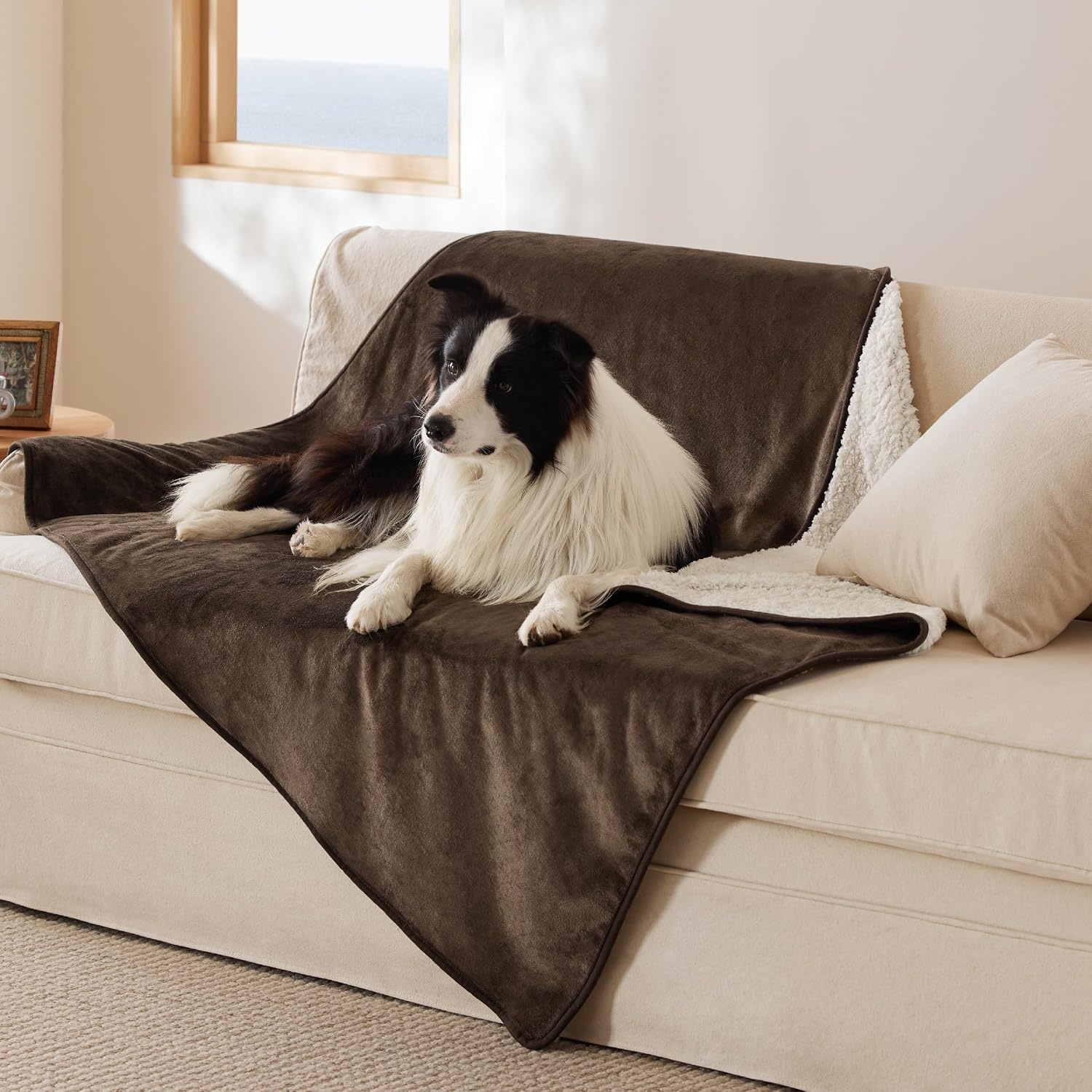 image:imageBedsure Waterproof Dog Blankets for Large Dogs Sherpa Fleece Throw 40X50 Washable Soft Plush Pet Cat Blanket for Couch Cover Reversible Cozy Calming Furniture Protector Warm for Senior DogsGreyCoffee Brown