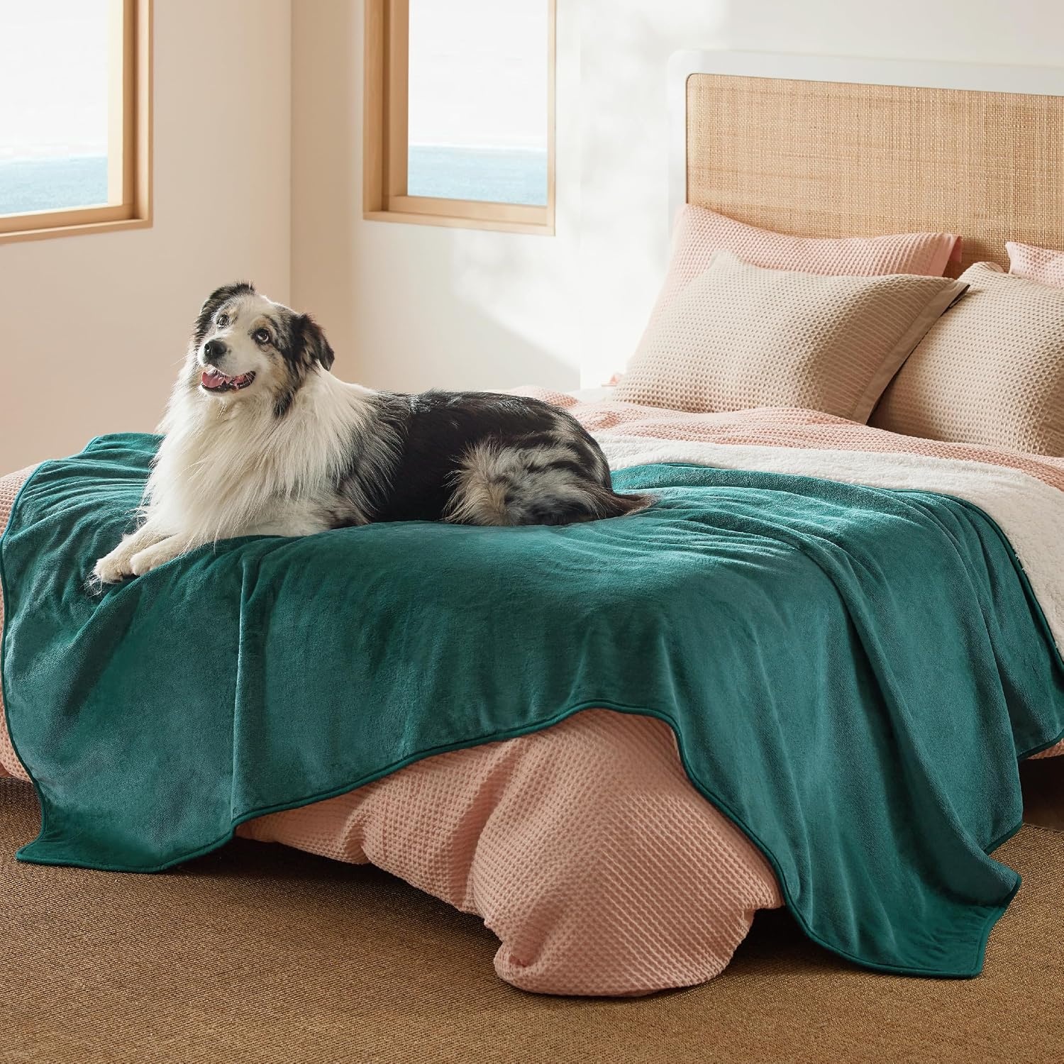 image:imageBedsure Waterproof Dog Blankets for Large Dogs Sherpa Fleece Throw 40X50 Washable Soft Plush Pet Cat Blanket for Couch Cover Reversible Cozy Calming Furniture Protector Warm for Senior DogsGreyGreen