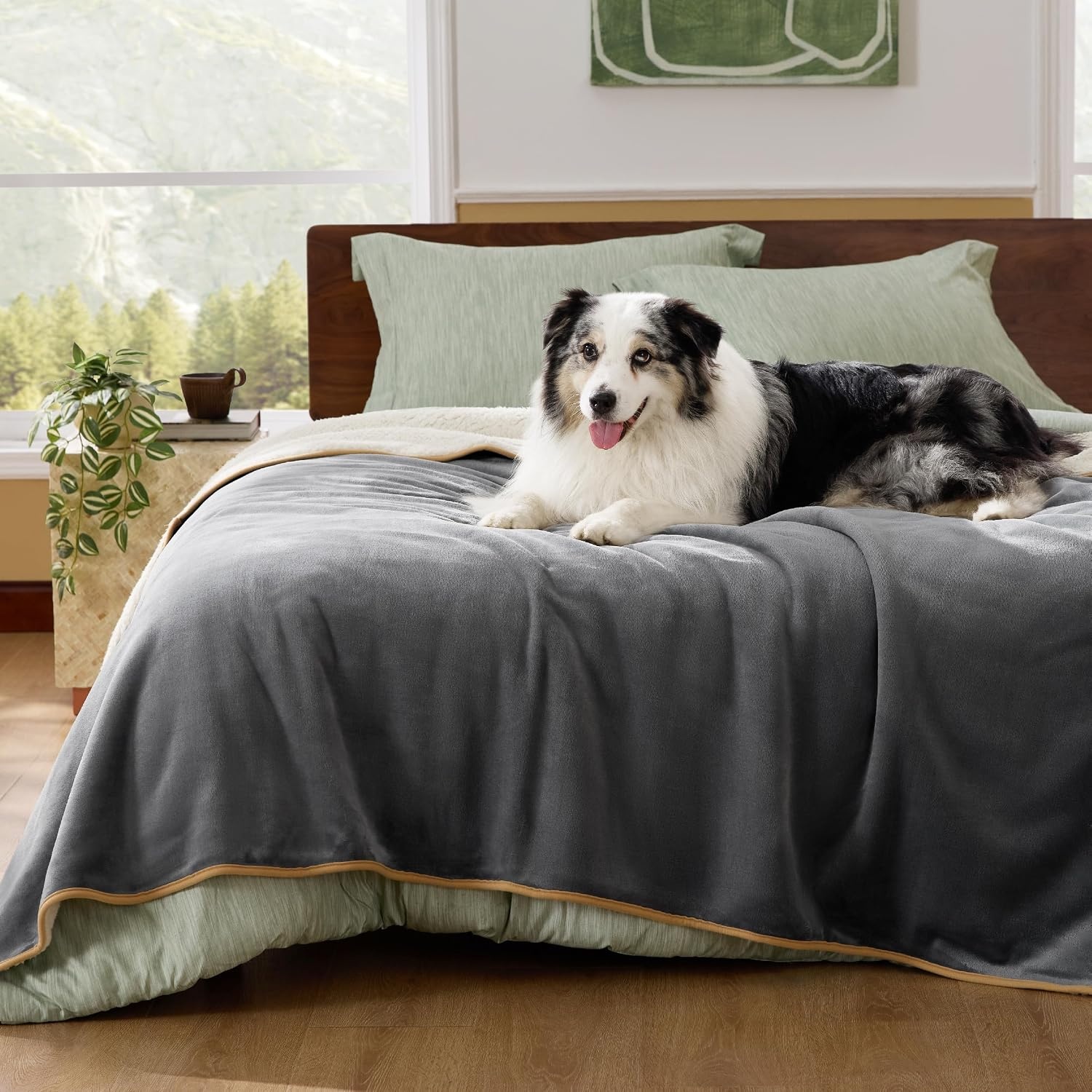image:imageBedsure Waterproof Dog Blankets for Large Dogs Sherpa Fleece Throw 40X50 Washable Soft Plush Pet Cat Blanket for Couch Cover Reversible Cozy Calming Furniture Protector Warm for Senior DogsGreyGrey