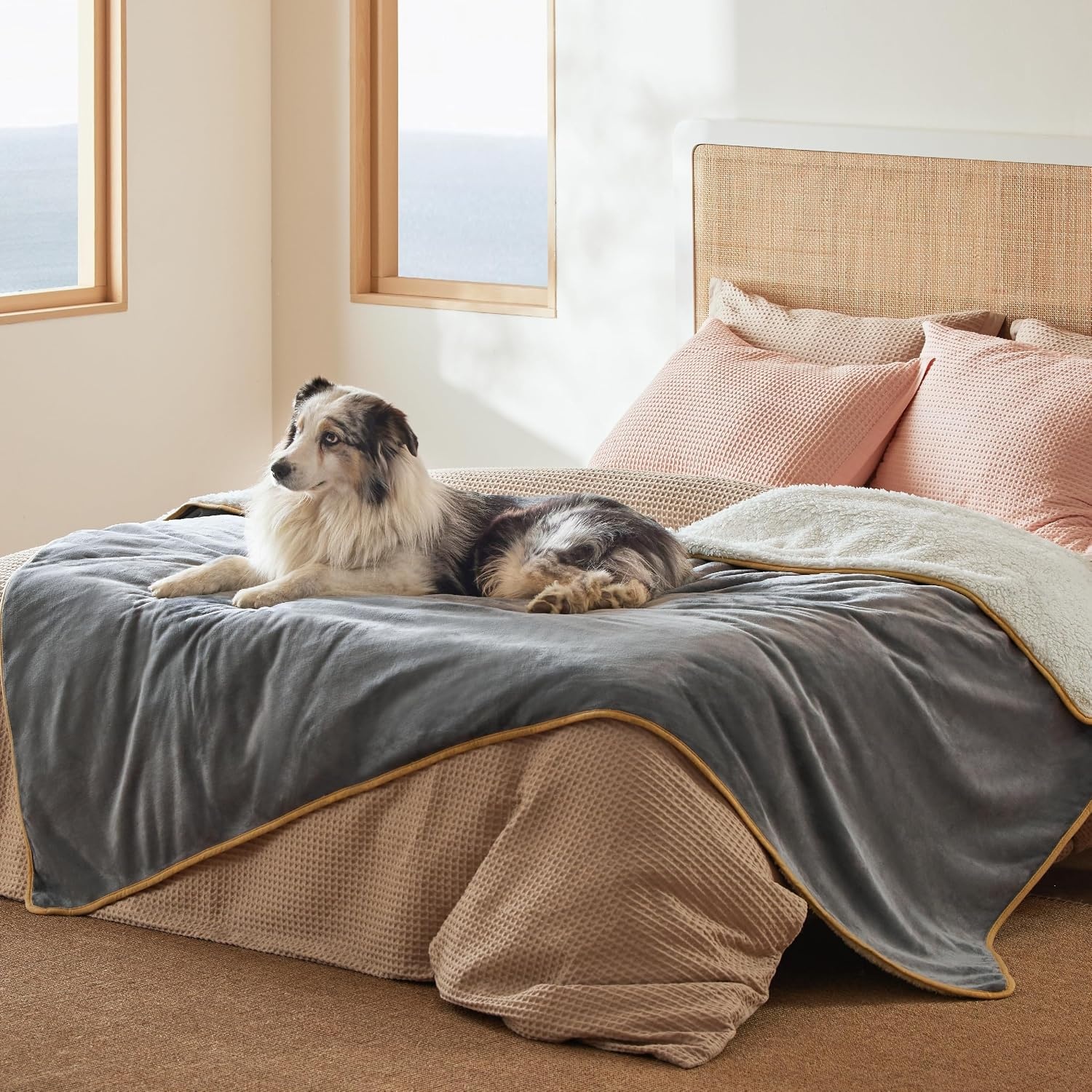 image:imageBedsure Waterproof Dog Blankets for Large Dogs Sherpa Fleece Throw 40X50 Washable Soft Plush Pet Cat Blanket for Couch Cover Reversible Cozy Calming Furniture Protector Warm for Senior DogsGreyGrey