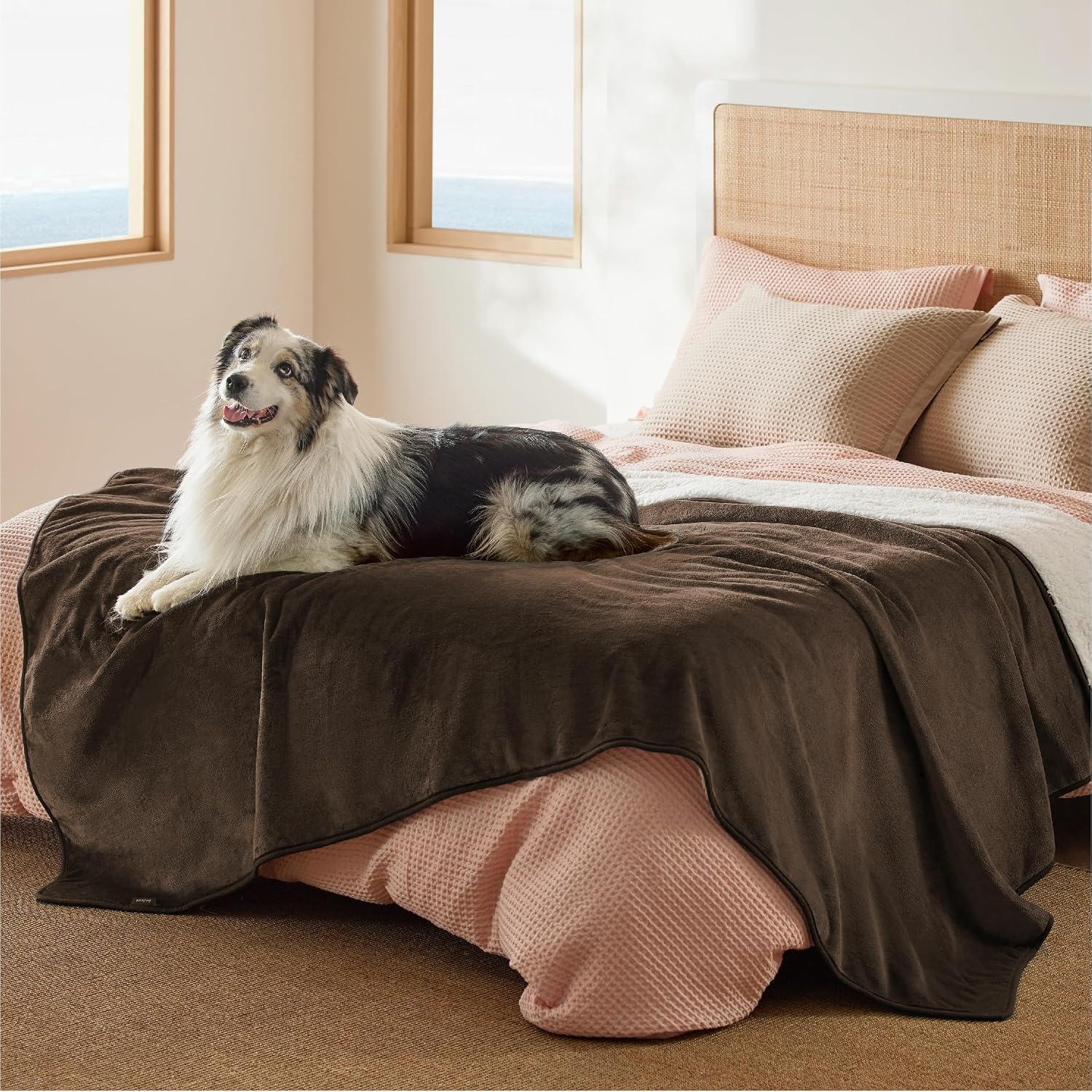 image:imageBedsure Waterproof Dog Blankets for Large Dogs Sherpa Fleece Throw 40X50 Washable Soft Plush Pet Cat Blanket for Couch Cover Reversible Cozy Calming Furniture Protector Warm for Senior DogsGreyCoffee Brown