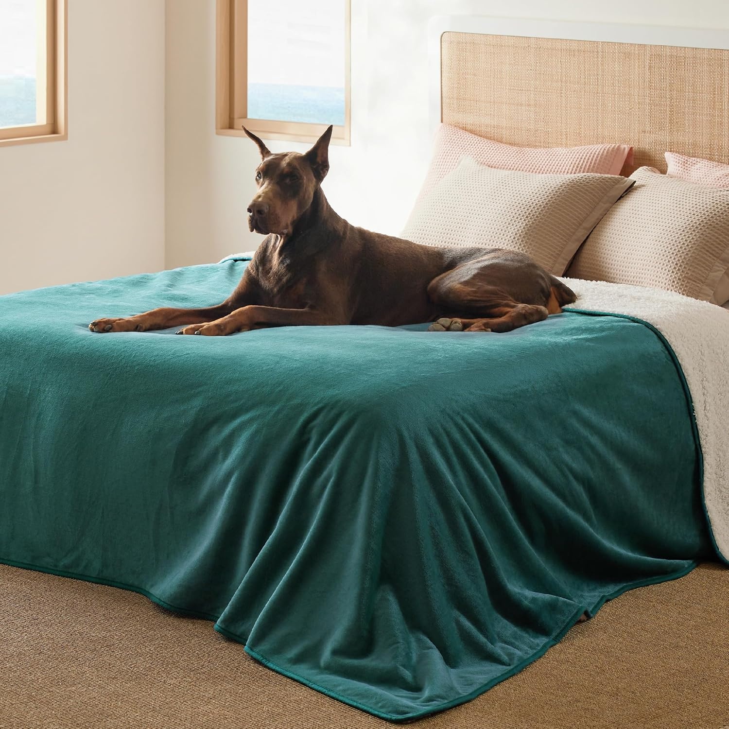 image:imageBedsure Waterproof Dog Blankets for Large Dogs Sherpa Fleece Throw 40X50 Washable Soft Plush Pet Cat Blanket for Couch Cover Reversible Cozy Calming Furniture Protector Warm for Senior DogsGreyGreen