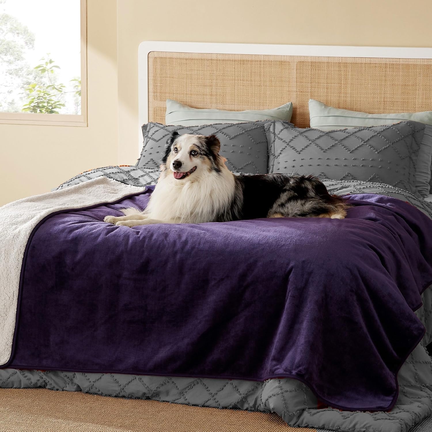 image:imageBedsure Waterproof Dog Blankets for Large Dogs Sherpa Fleece Throw 40X50 Washable Soft Plush Pet Cat Blanket for Couch Cover Reversible Cozy Calming Furniture Protector Warm for Senior DogsGreyEggplant