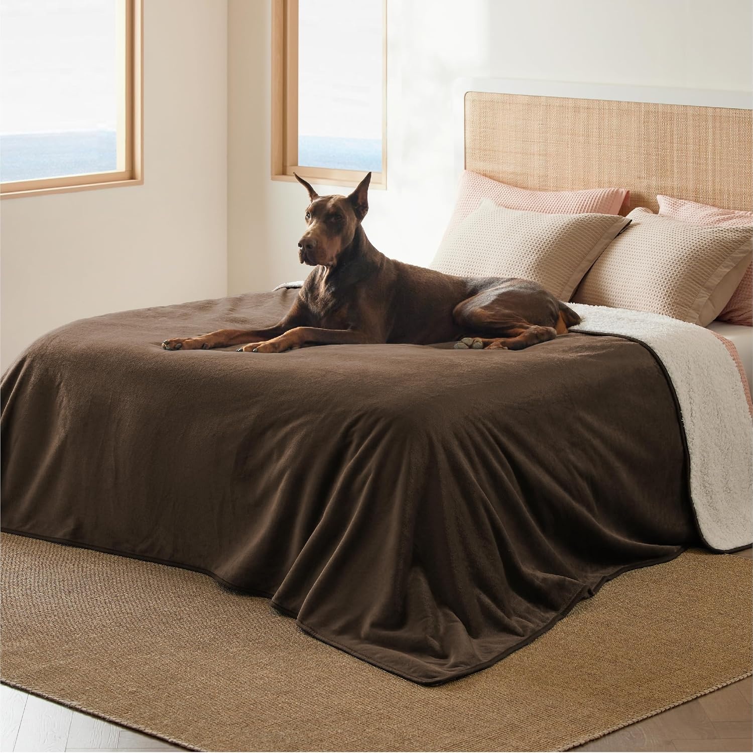 image:imageBedsure Waterproof Dog Blankets for Large Dogs Sherpa Fleece Throw 40X50 Washable Soft Plush Pet Cat Blanket for Couch Cover Reversible Cozy Calming Furniture Protector Warm for Senior DogsGreyCoffee Brown