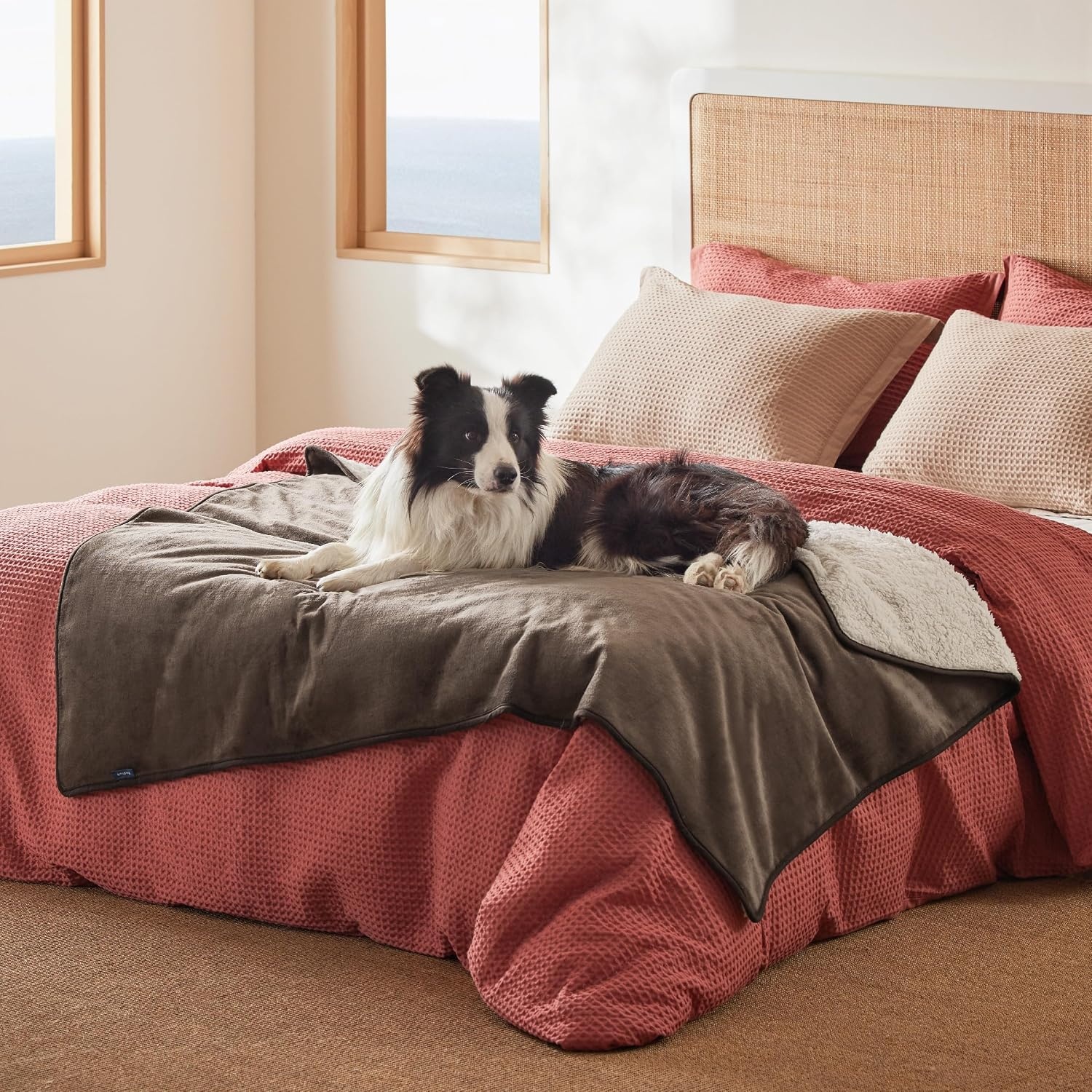 image:imageBedsure Waterproof Dog Blankets for Large Dogs Sherpa Fleece Throw 40X50 Washable Soft Plush Pet Cat Blanket for Couch Cover Reversible Cozy Calming Furniture Protector Warm for Senior DogsGreyCoffee Brown