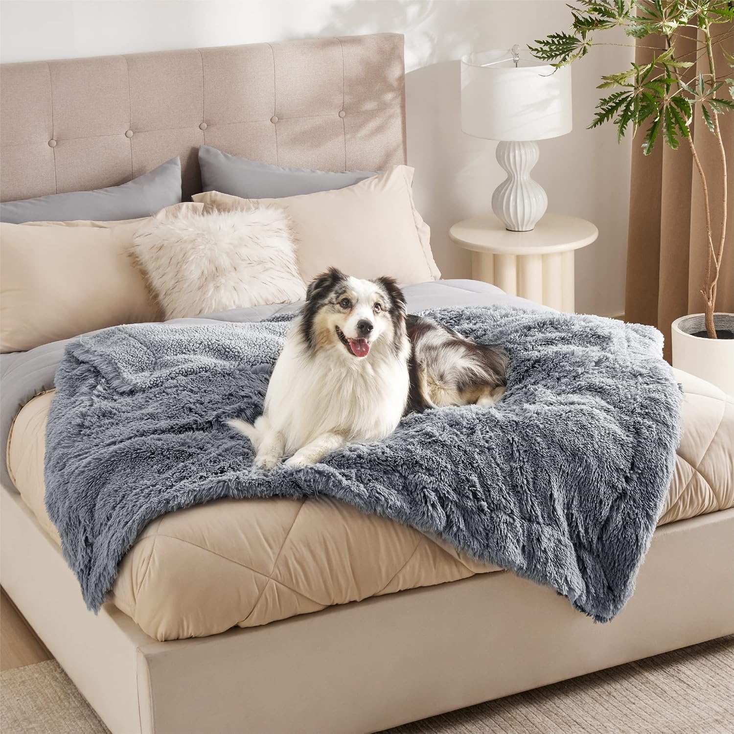 image:imageBedsure Waterproof Dog Blankets for Medium Dogs Fluffy Faux Fur 40x50 Plush Fuzzy Reversible Pet Blankets for Couch and Dog BedSoft Calming Throw Cat Blanket Washable Dog Gift GreyGrey