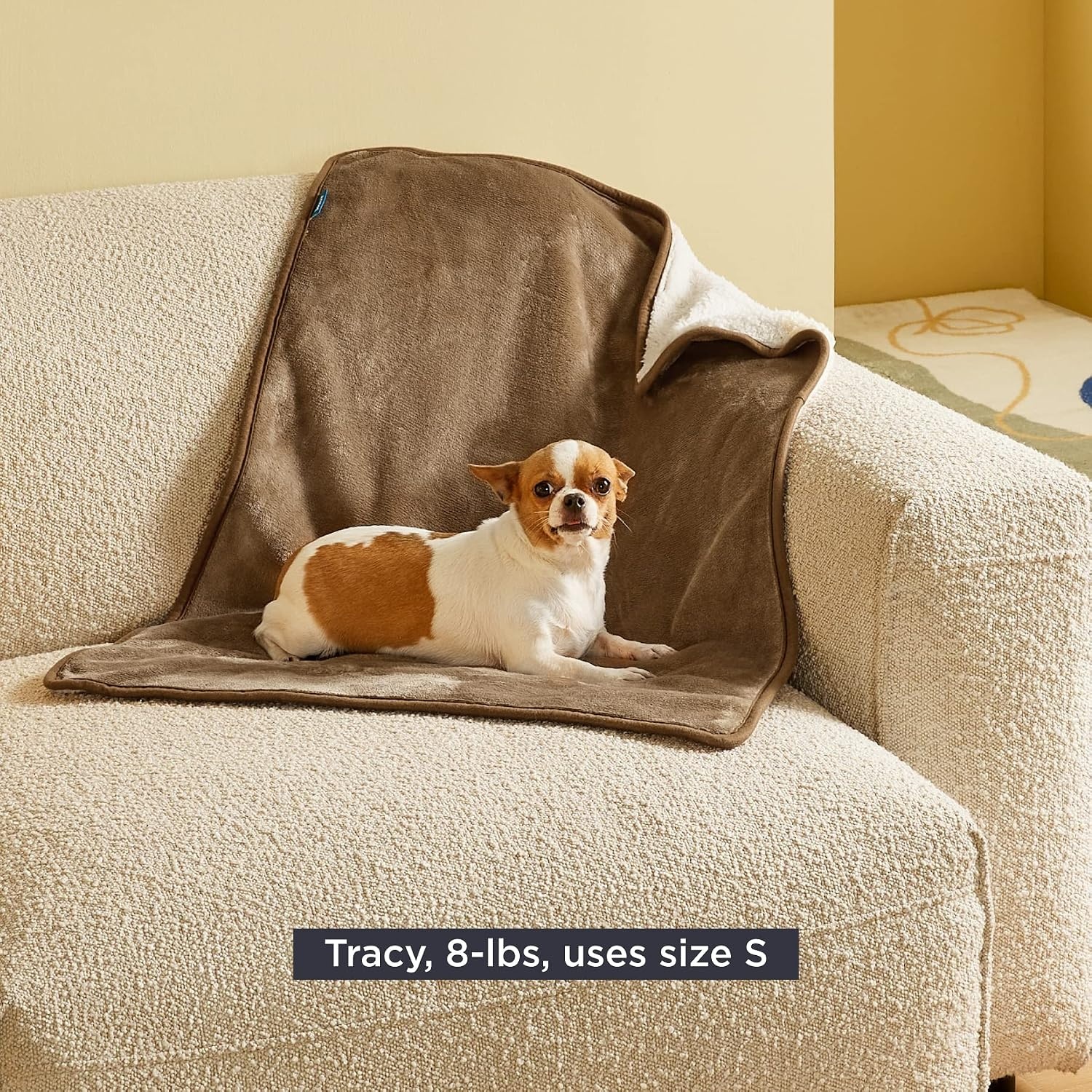 image:imageBedsure Waterproof Dog Blankets for Small Dogs 25X35 Anchor Gray Soft Print Sherpa Fleece Puppy Cat Blanket Washable Cozy Plush Reversible Throw Furniture Protector for Pet Kitten DoggyCamel