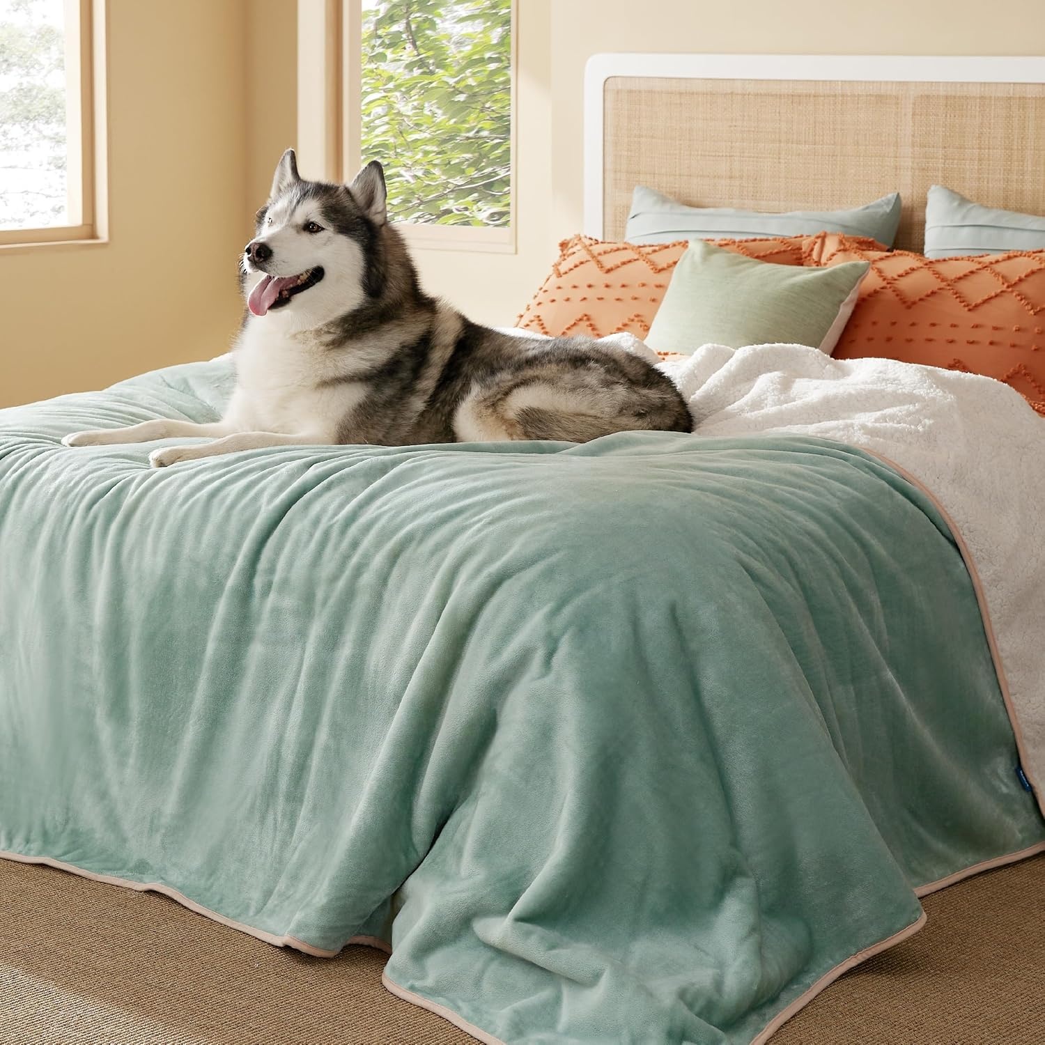 image:imageBedsure Waterproof Dog Blankets for Small Dogs 25X35 Anchor Gray Soft Print Sherpa Fleece Puppy Cat Blanket Washable Cozy Plush Reversible Throw Furniture Protector for Pet Kitten DoggyLight Green