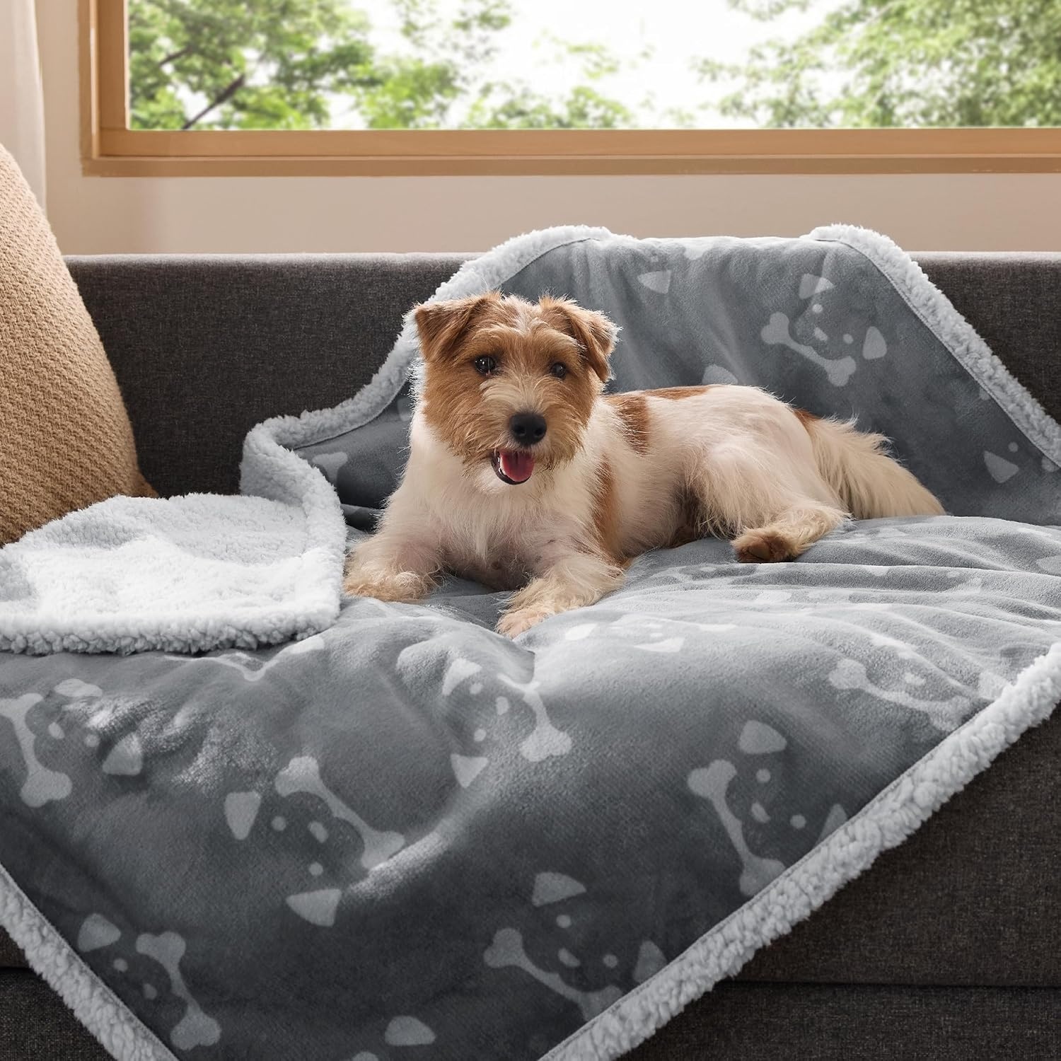 image:imageBedsure Waterproof Dog Blankets for Small Dogs 25X35 Anchor Gray Soft Print Sherpa Fleece Puppy Cat Blanket Washable Cozy Plush Reversible Throw Furniture Protector for Pet Kitten DoggyAnchor Graydog