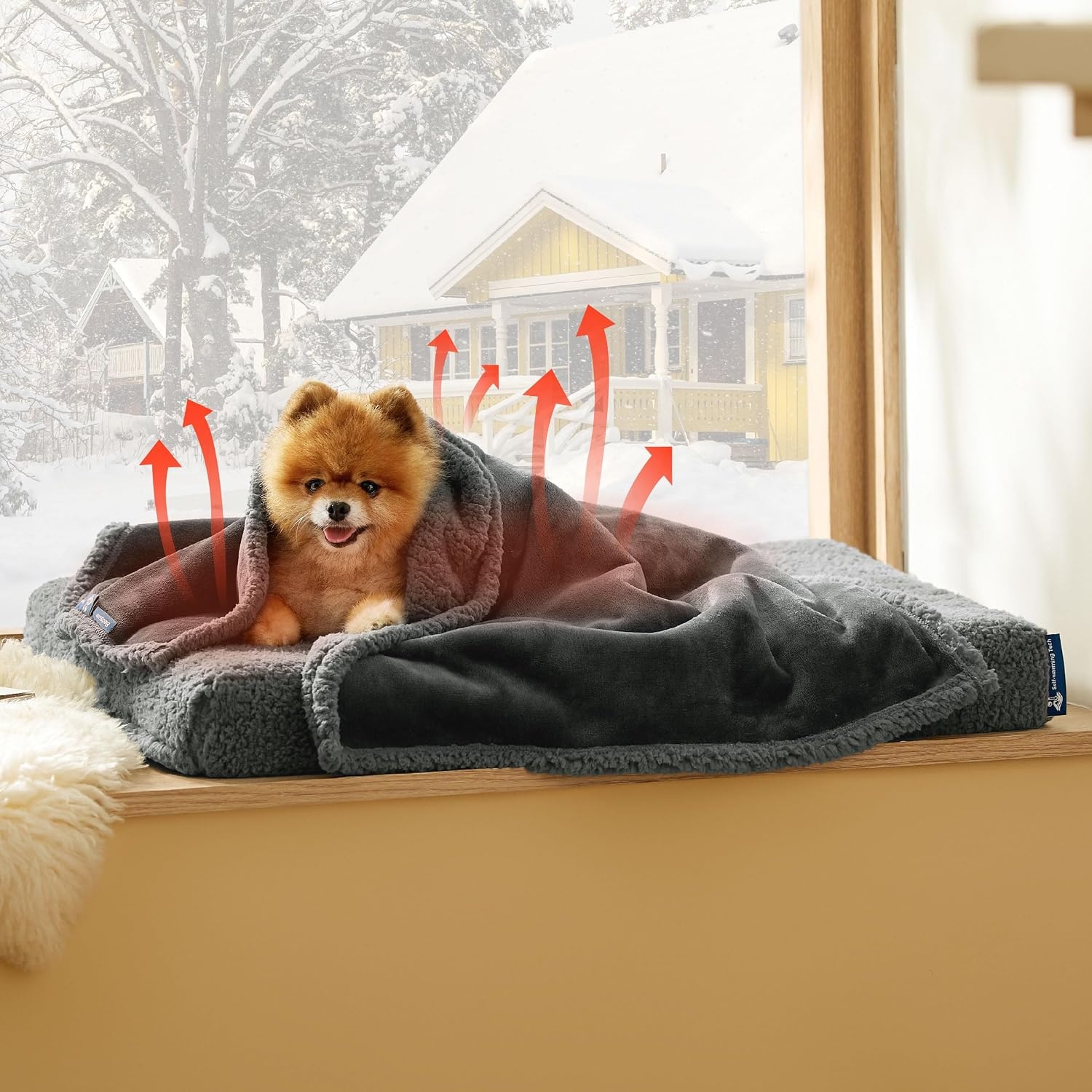 image:imageBedsure Waterproof Dog Blankets for Small Dogs 25X35 Anchor Gray Soft Print Sherpa Fleece Puppy Cat Blanket Washable Cozy Plush Reversible Throw Furniture Protector for Pet Kitten DoggyAnthracite Greyself Warming