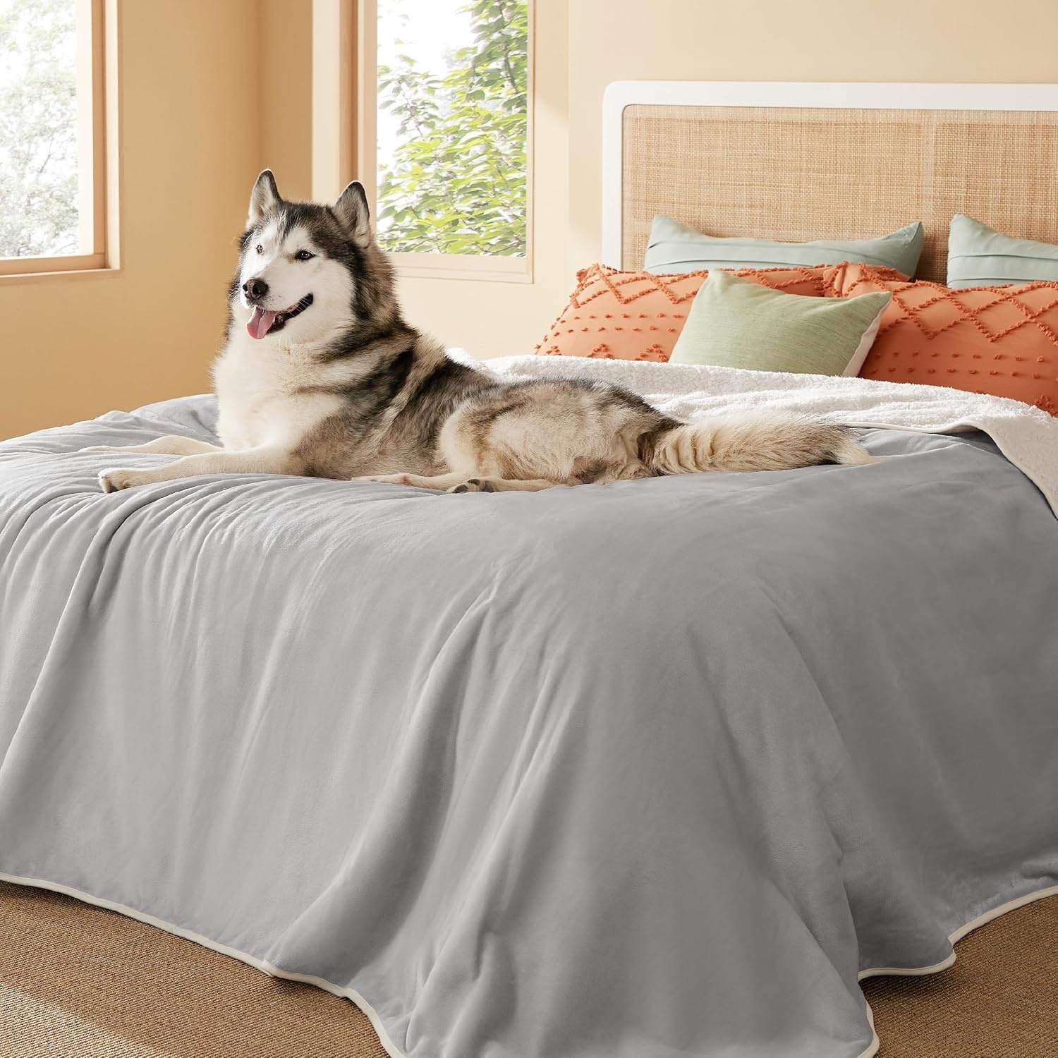 image:imageBedsure Waterproof Dog Blankets for Small Dogs 25X35 Anchor Gray Soft Print Sherpa Fleece Puppy Cat Blanket Washable Cozy Plush Reversible Throw Furniture Protector for Pet Kitten DoggyLight Grey