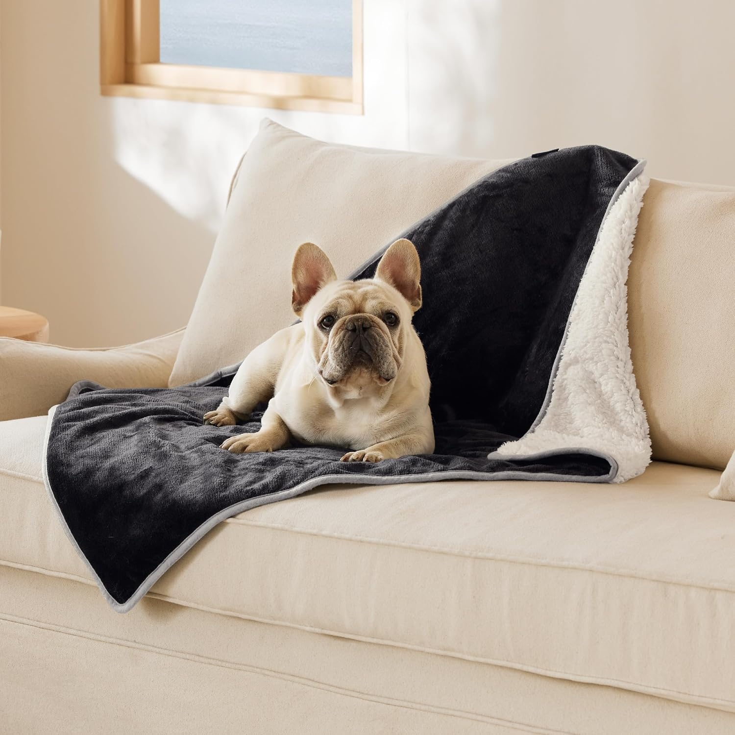 image:imageBedsure Waterproof Dog Blankets for Small Dogs 25X35 Anchor Gray Soft Print Sherpa Fleece Puppy Cat Blanket Washable Cozy Plush Reversible Throw Furniture Protector for Pet Kitten DoggyBlack