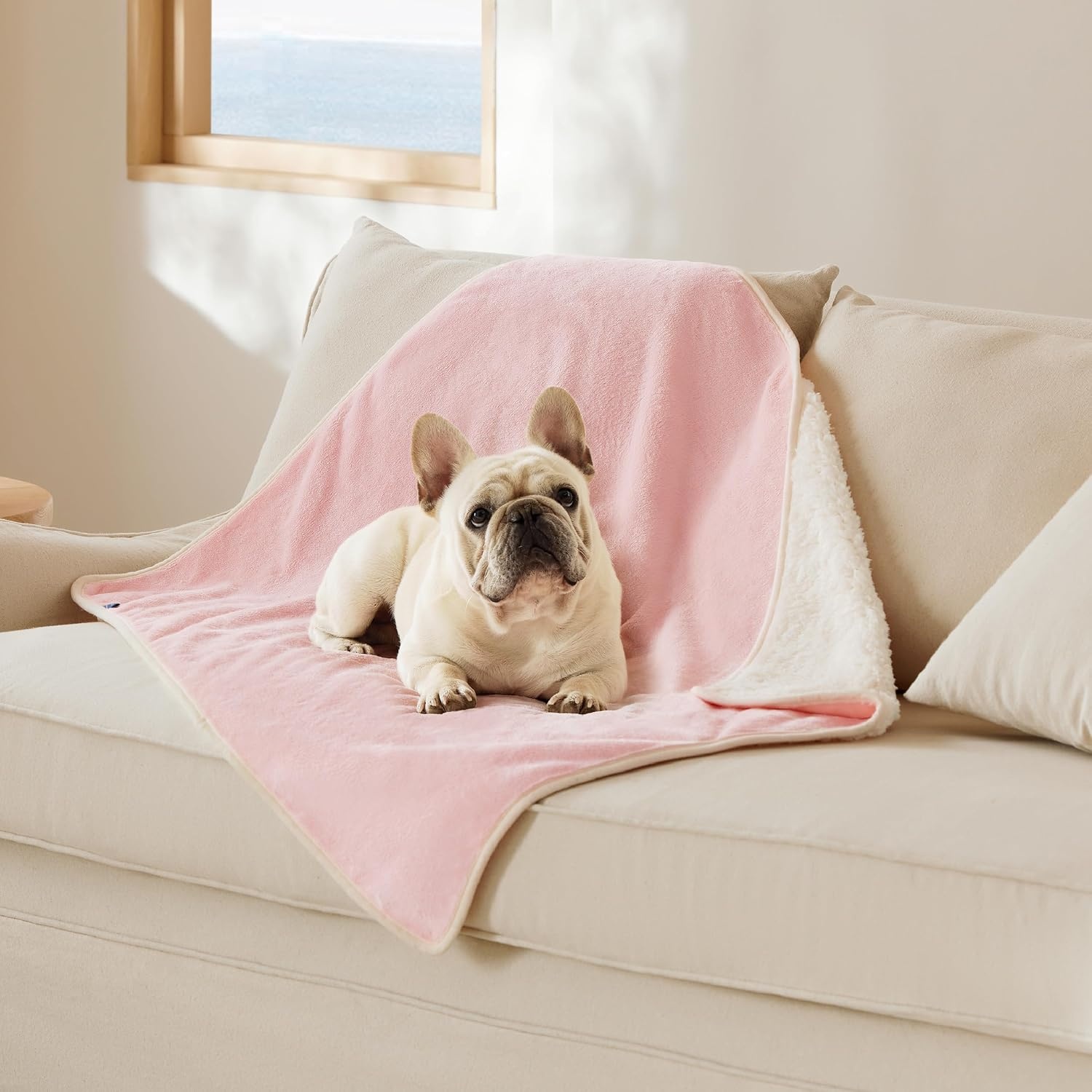 image:imageBedsure Waterproof Dog Blankets for Small Dogs 25X35 Anchor Gray Soft Print Sherpa Fleece Puppy Cat Blanket Washable Cozy Plush Reversible Throw Furniture Protector for Pet Kitten DoggyAzalea Pink