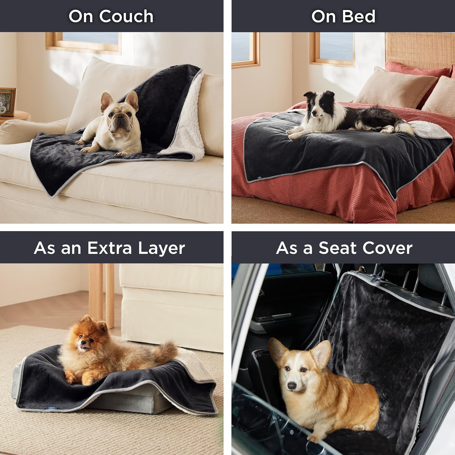 image:imageBedsure Waterproof Dog Blankets for Small Dogs 25X35 Anchor Gray Soft Print Sherpa Fleece Puppy Cat Blanket Washable Cozy Plush Reversible Throw Furniture Protector for Pet Kitten DoggyBlack