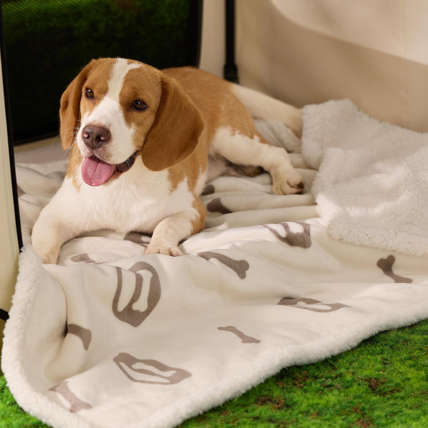 image:imageBedsure Waterproof Dog Blankets for Small Dogs 25X35 Anchor Gray Soft Print Sherpa Fleece Puppy Cat Blanket Washable Cozy Plush Reversible Throw Furniture Protector for Pet Kitten DoggyBeigebone
