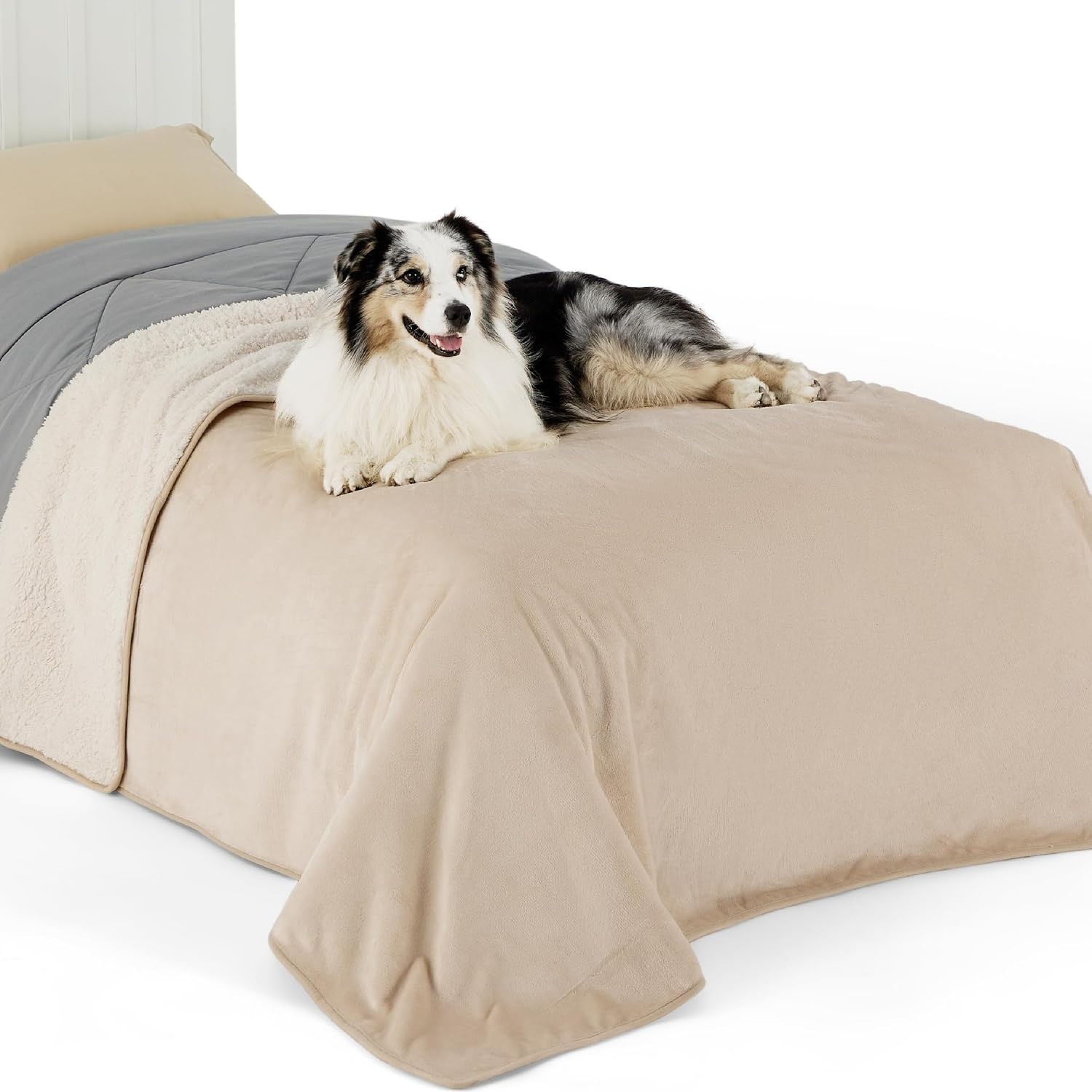 image:imageBedsure Waterproof Dog Blankets for Small Dogs 25X35 Anchor Gray Soft Print Sherpa Fleece Puppy Cat Blanket Washable Cozy Plush Reversible Throw Furniture Protector for Pet Kitten DoggyCream