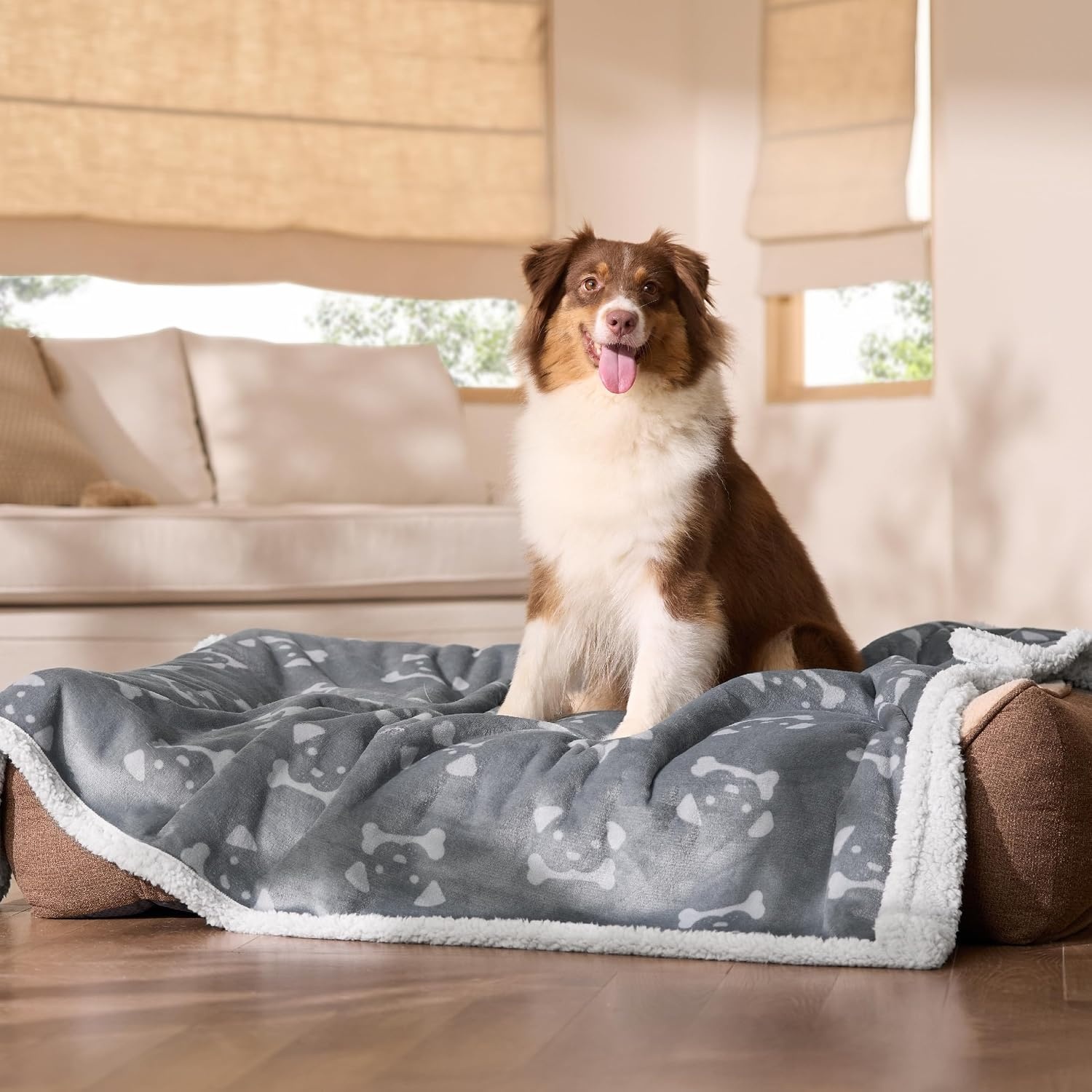 image:imageBedsure Waterproof Dog Blankets for Small Dogs 25X35 Anchor Gray Soft Print Sherpa Fleece Puppy Cat Blanket Washable Cozy Plush Reversible Throw Furniture Protector for Pet Kitten DoggyAnchor Graydog