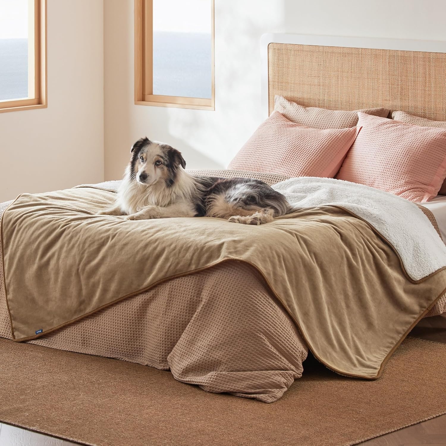 image:imageBedsure Waterproof Dog Blankets for Small Dogs 25X35 Anchor Gray Soft Print Sherpa Fleece Puppy Cat Blanket Washable Cozy Plush Reversible Throw Furniture Protector for Pet Kitten DoggyCamel