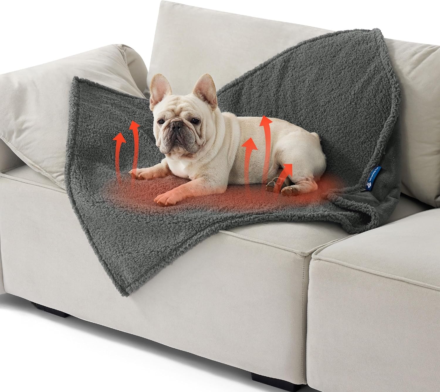 image:imageBedsure Waterproof Dog Blankets for Small Dogs 25X35 Anchor Gray Soft Print Sherpa Fleece Puppy Cat Blanket Washable Cozy Plush Reversible Throw Furniture Protector for Pet Kitten DoggyAnthracite Greyself Warming