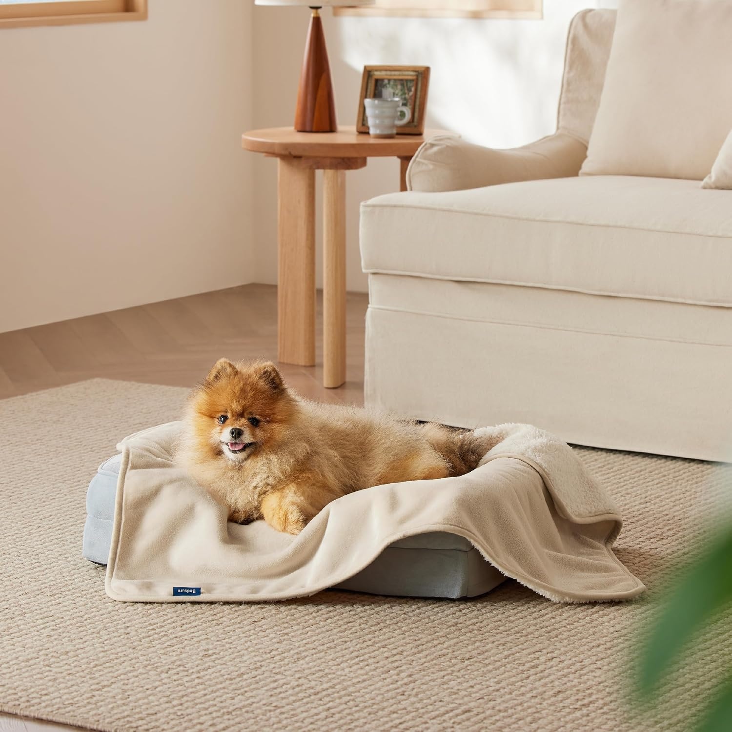 image:imageBedsure Waterproof Dog Blankets for Small Dogs 25X35 Anchor Gray Soft Print Sherpa Fleece Puppy Cat Blanket Washable Cozy Plush Reversible Throw Furniture Protector for Pet Kitten DoggyCream