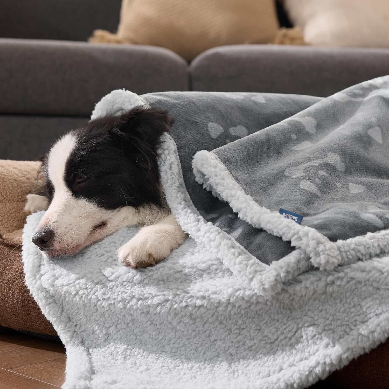 image:imageBedsure Waterproof Dog Blankets for Small Dogs 25X35 Anchor Gray Soft Print Sherpa Fleece Puppy Cat Blanket Washable Cozy Plush Reversible Throw Furniture Protector for Pet Kitten DoggyAnchor Graydog