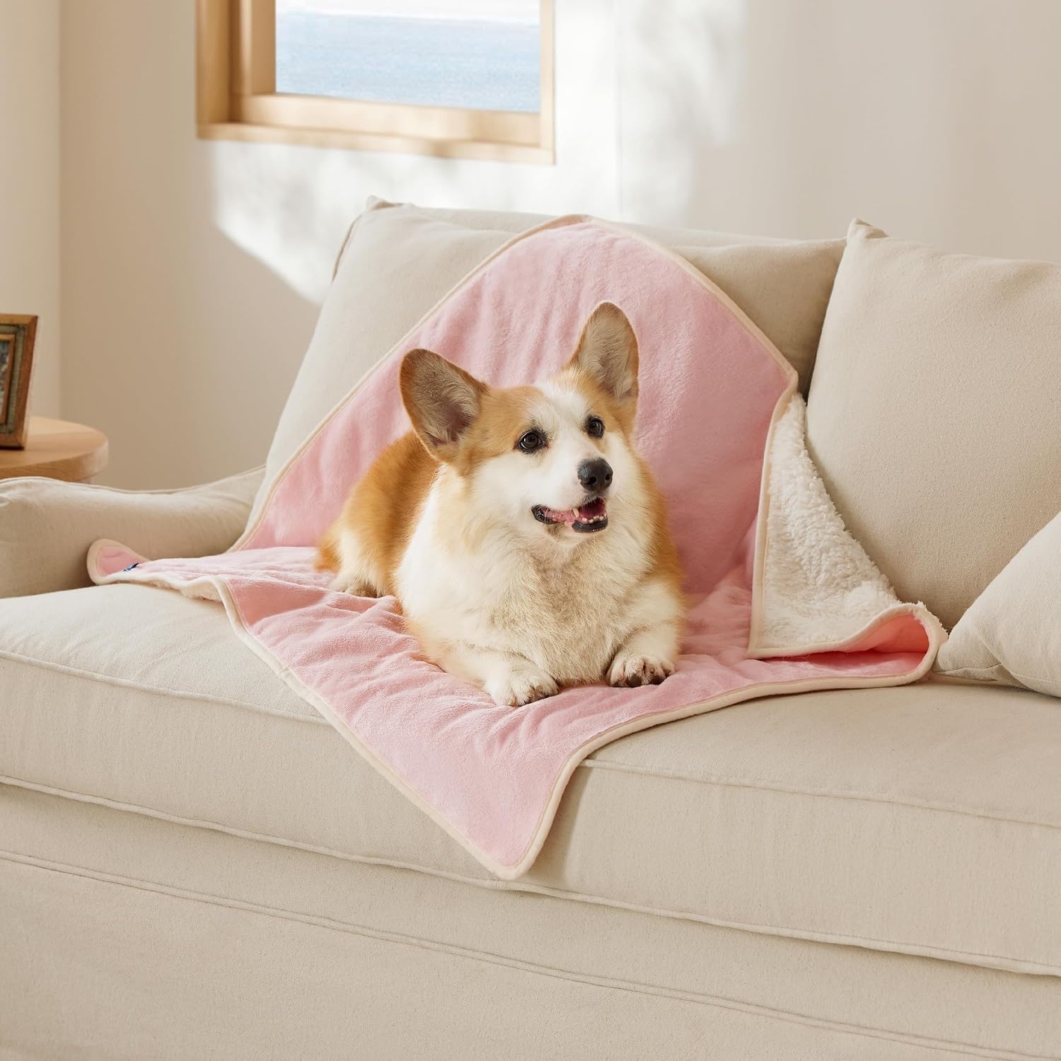 image:imageBedsure Waterproof Dog Blankets for Small Dogs 25X35 Anchor Gray Soft Print Sherpa Fleece Puppy Cat Blanket Washable Cozy Plush Reversible Throw Furniture Protector for Pet Kitten DoggyAzalea Pink