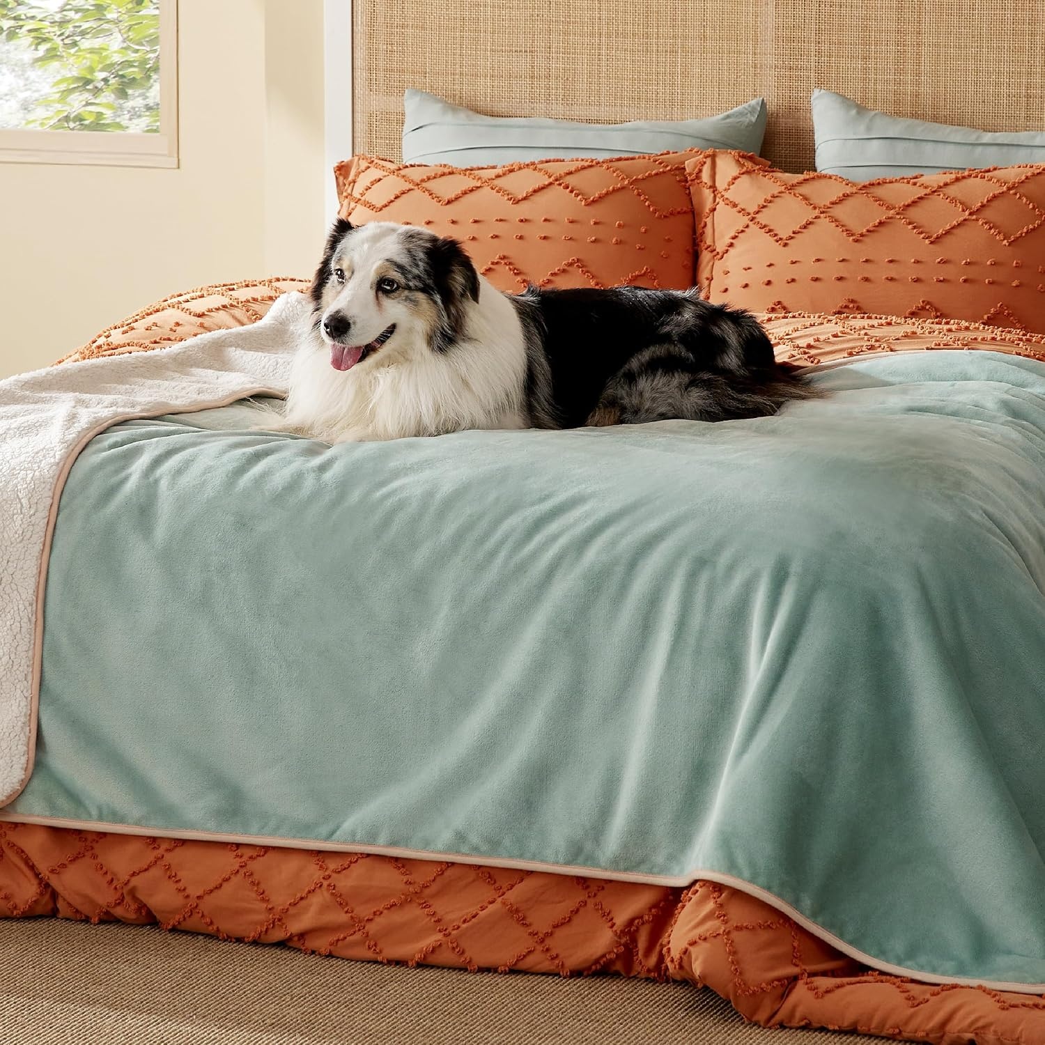 image:imageBedsure Waterproof Dog Blankets for Small Dogs 25X35 Anchor Gray Soft Print Sherpa Fleece Puppy Cat Blanket Washable Cozy Plush Reversible Throw Furniture Protector for Pet Kitten DoggyLight Green